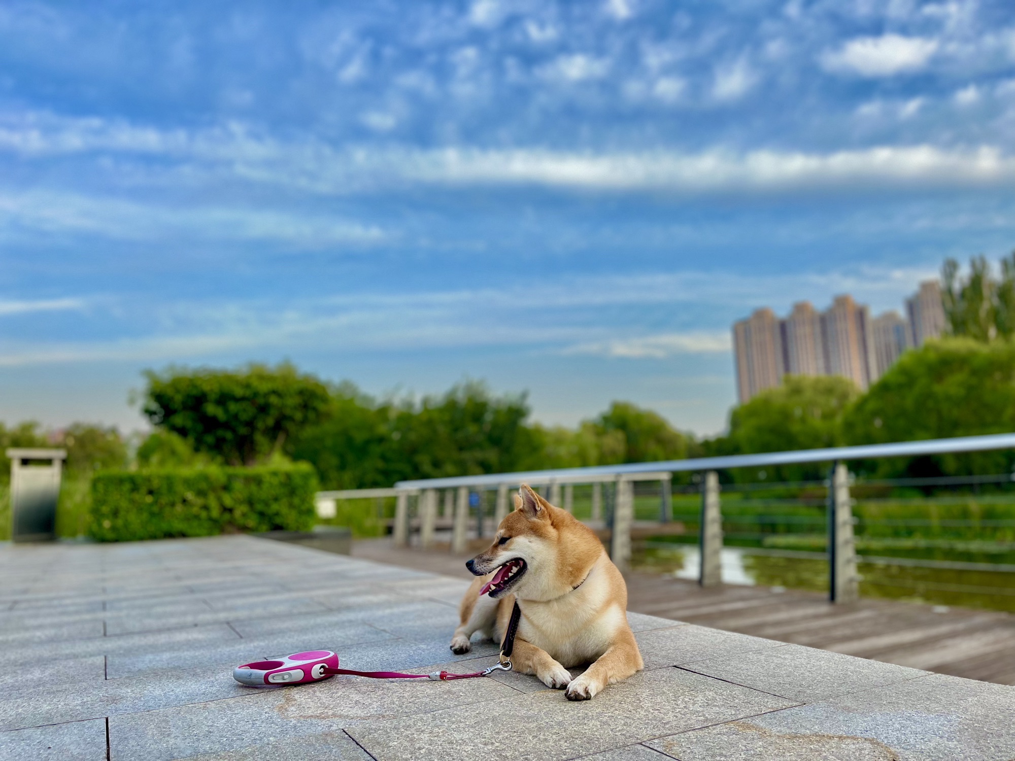 和园(太原)旅行图片 3