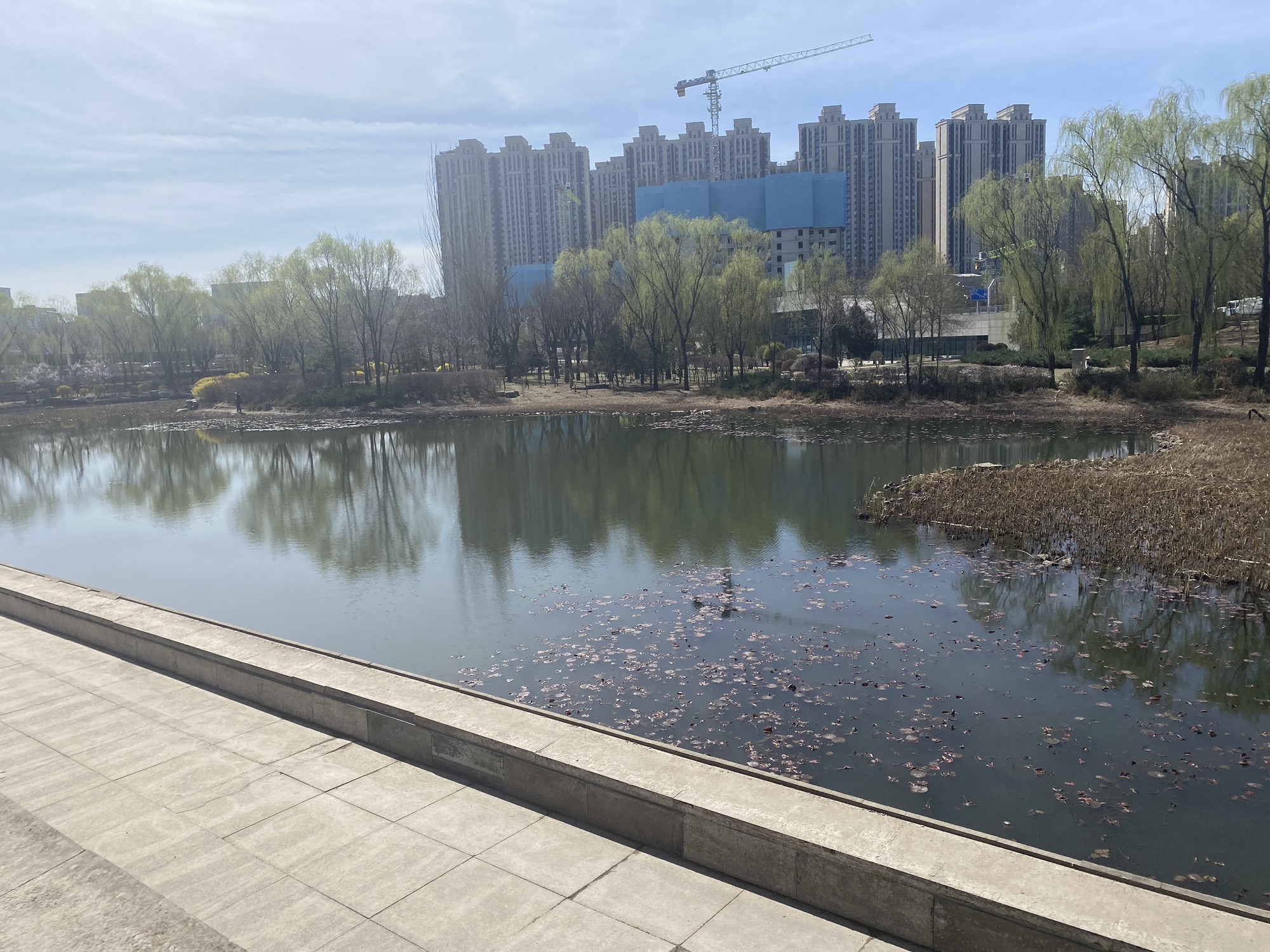 和园(太原)旅行图片 2