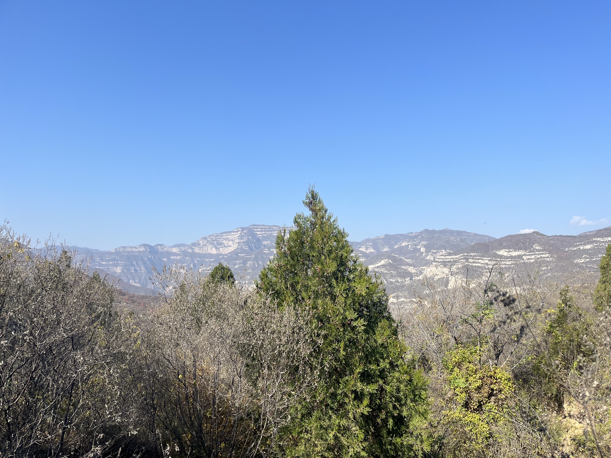 中北大学龙山公园(暂停开放)