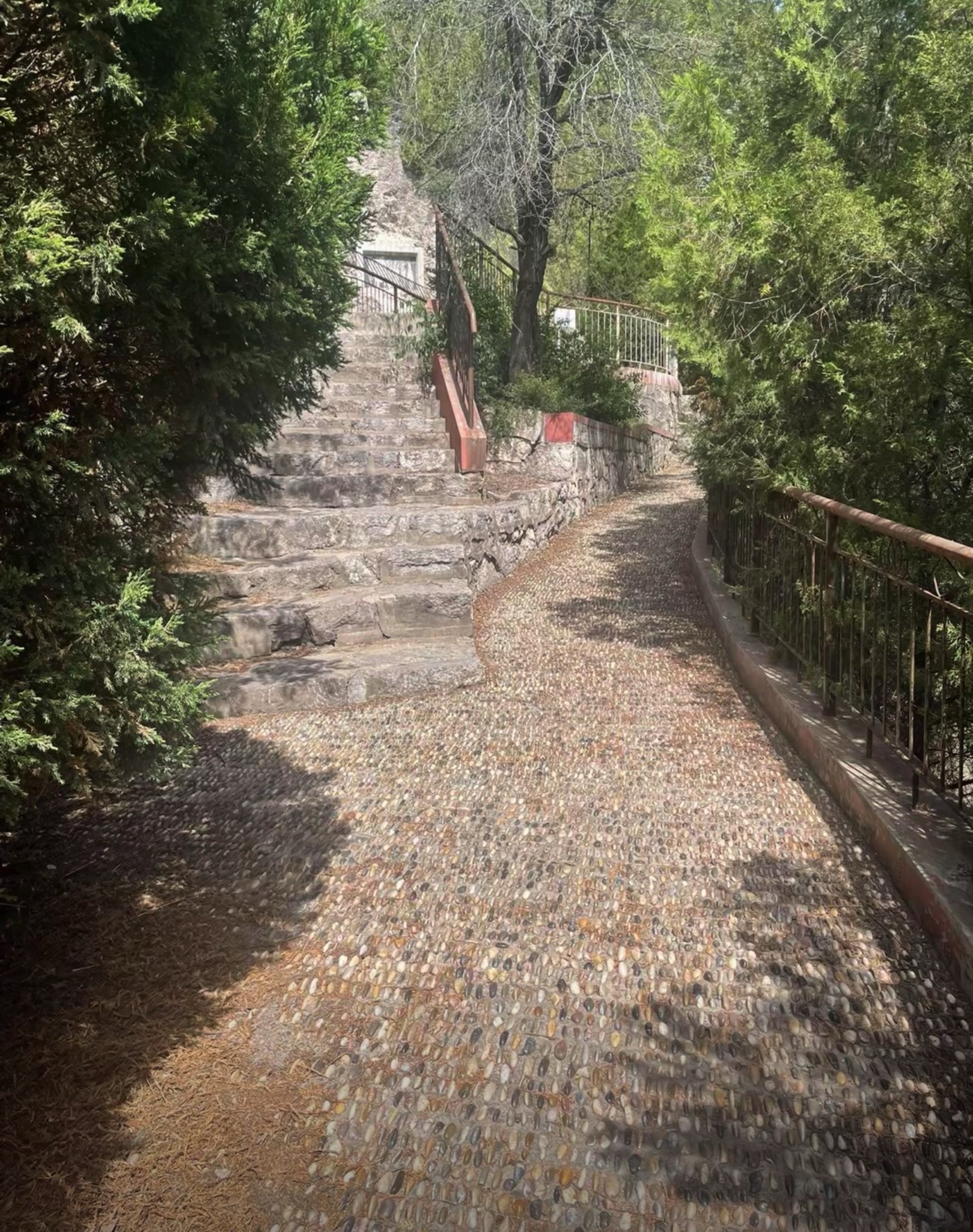 中北大学龙山公园旅行图片 1