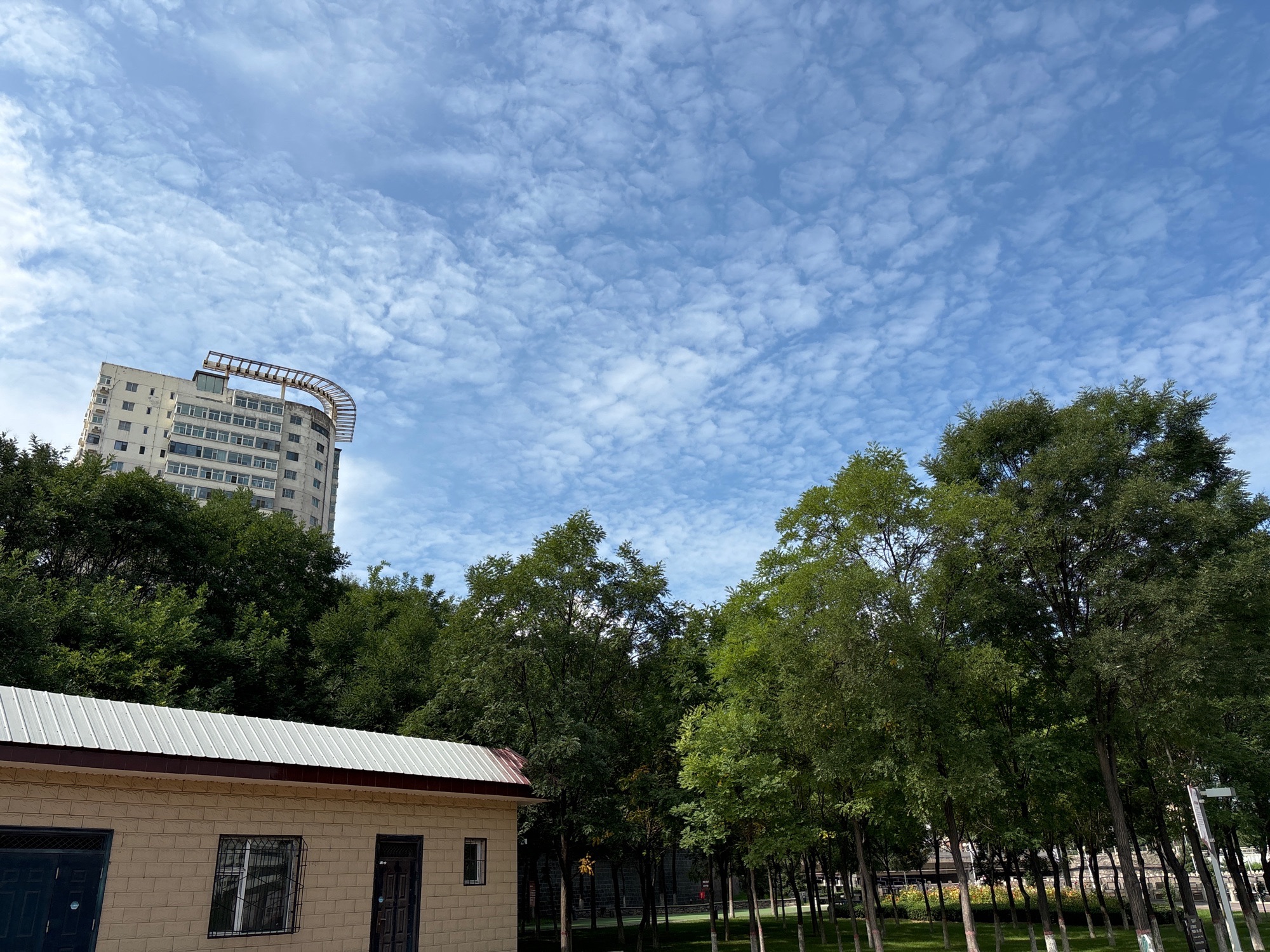 汾河公园旅行图片 1