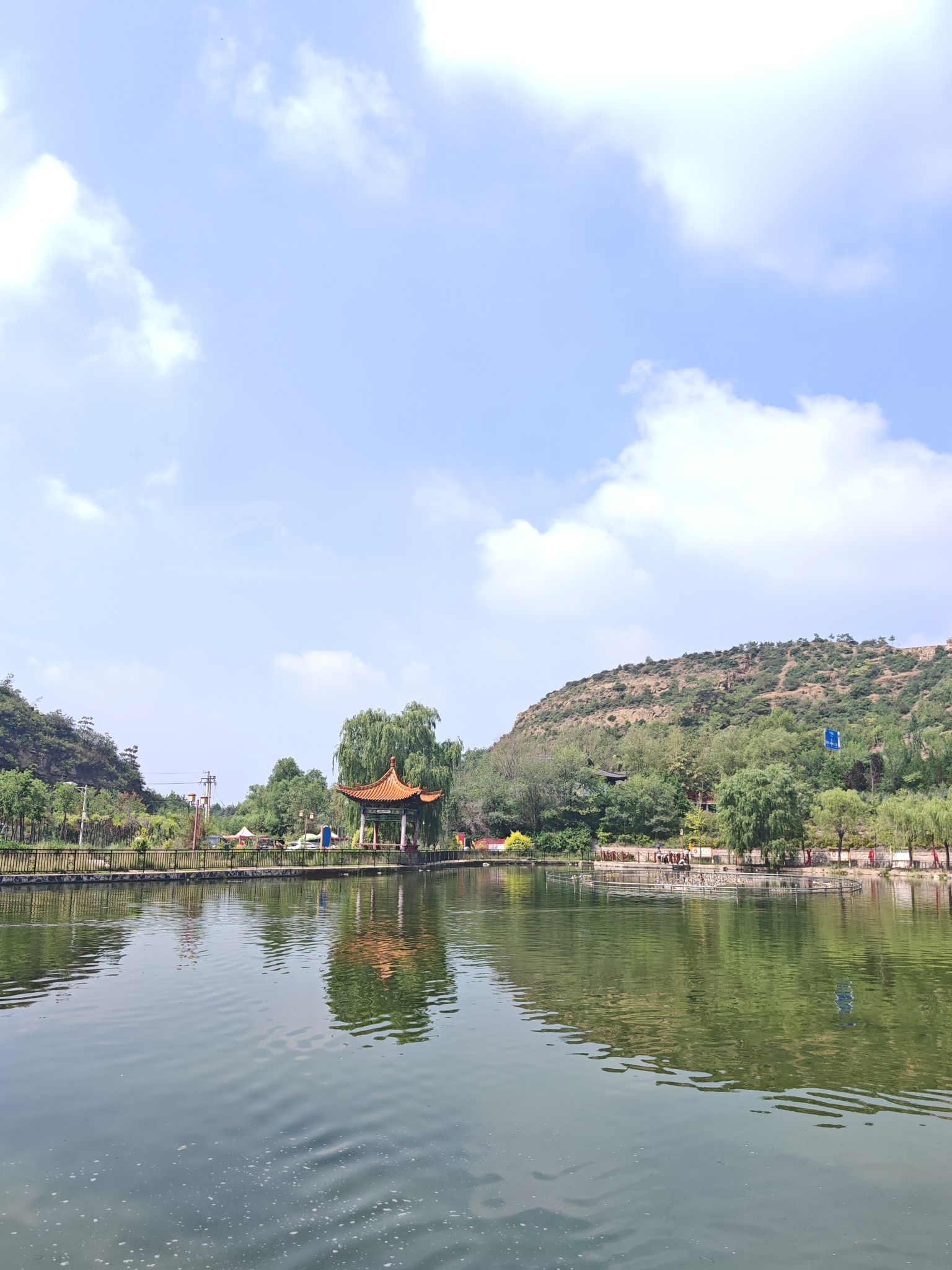 东山五龙生态森林公园旅行图片 2