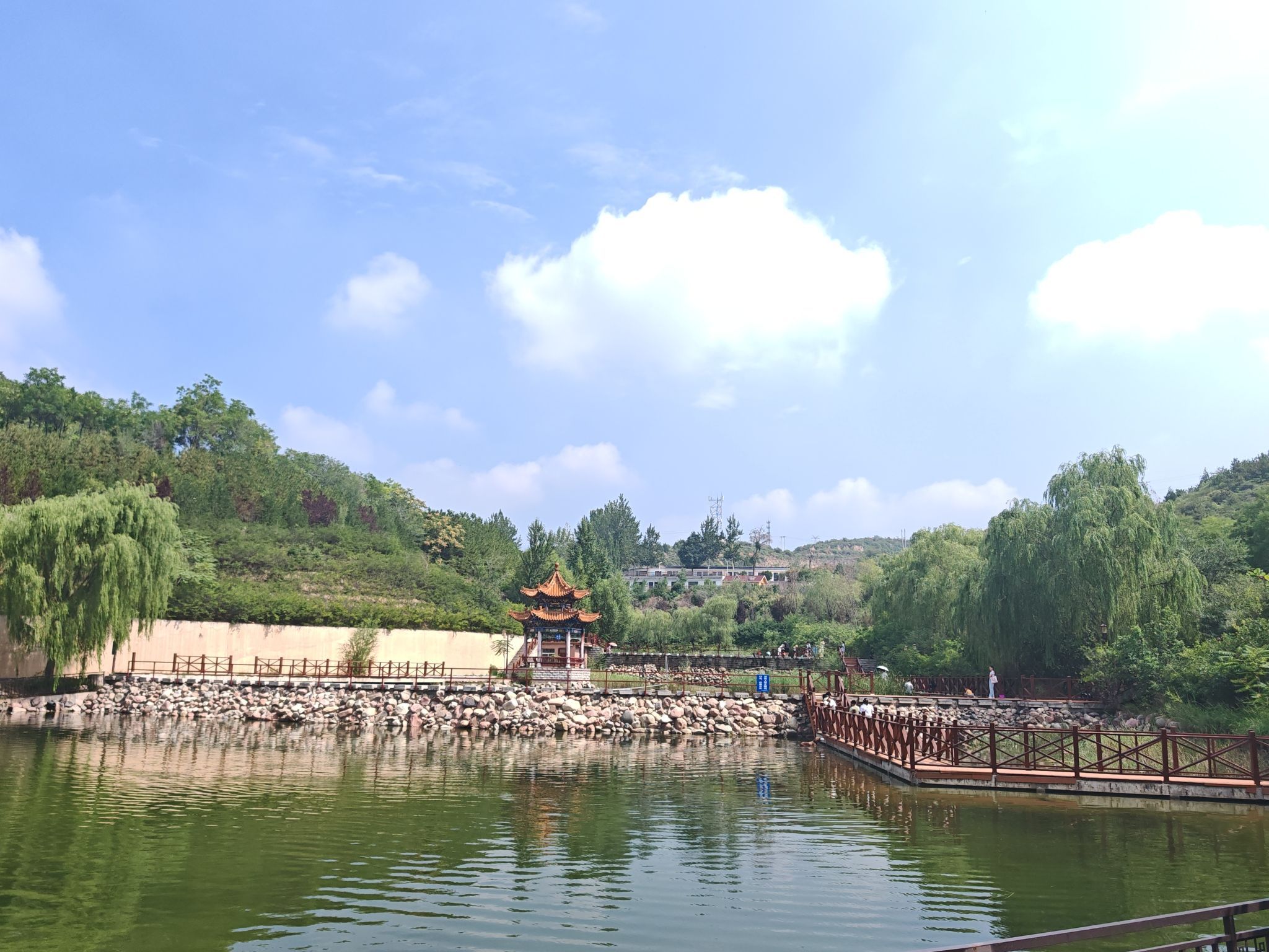 东山五龙生态森林公园旅行图片 1
