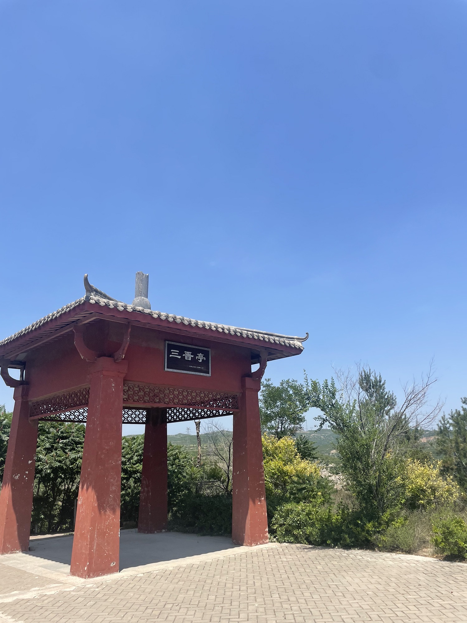 东山五龙生态森林公园旅行图片 2