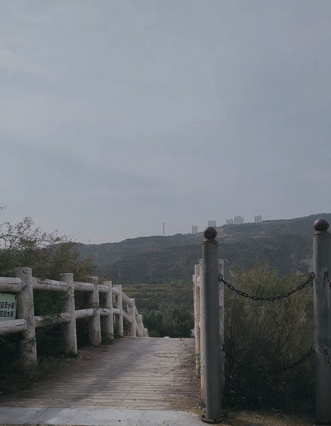 东山五龙生态森林公园旅行图片 3