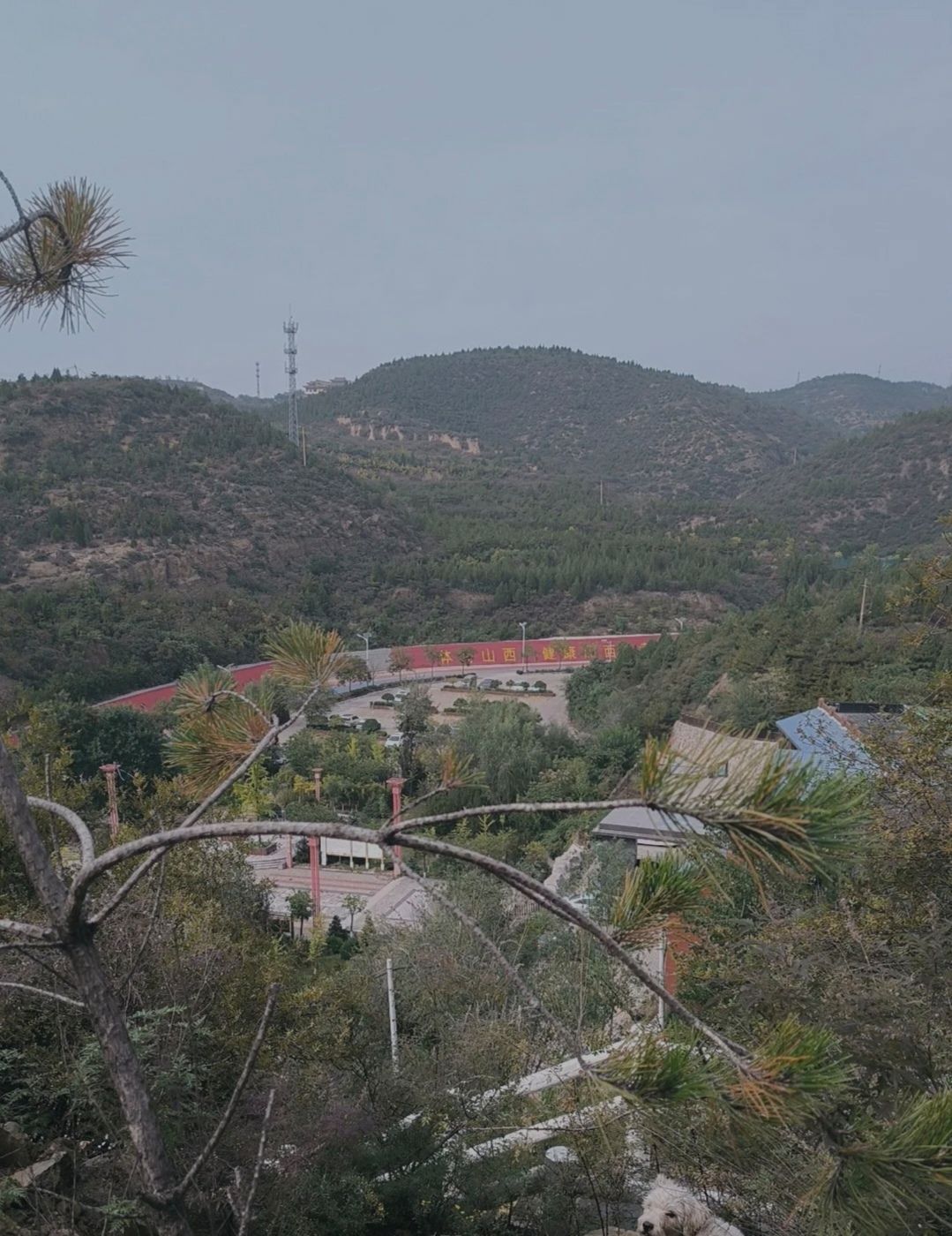 东山五龙生态森林公园旅行图片 2