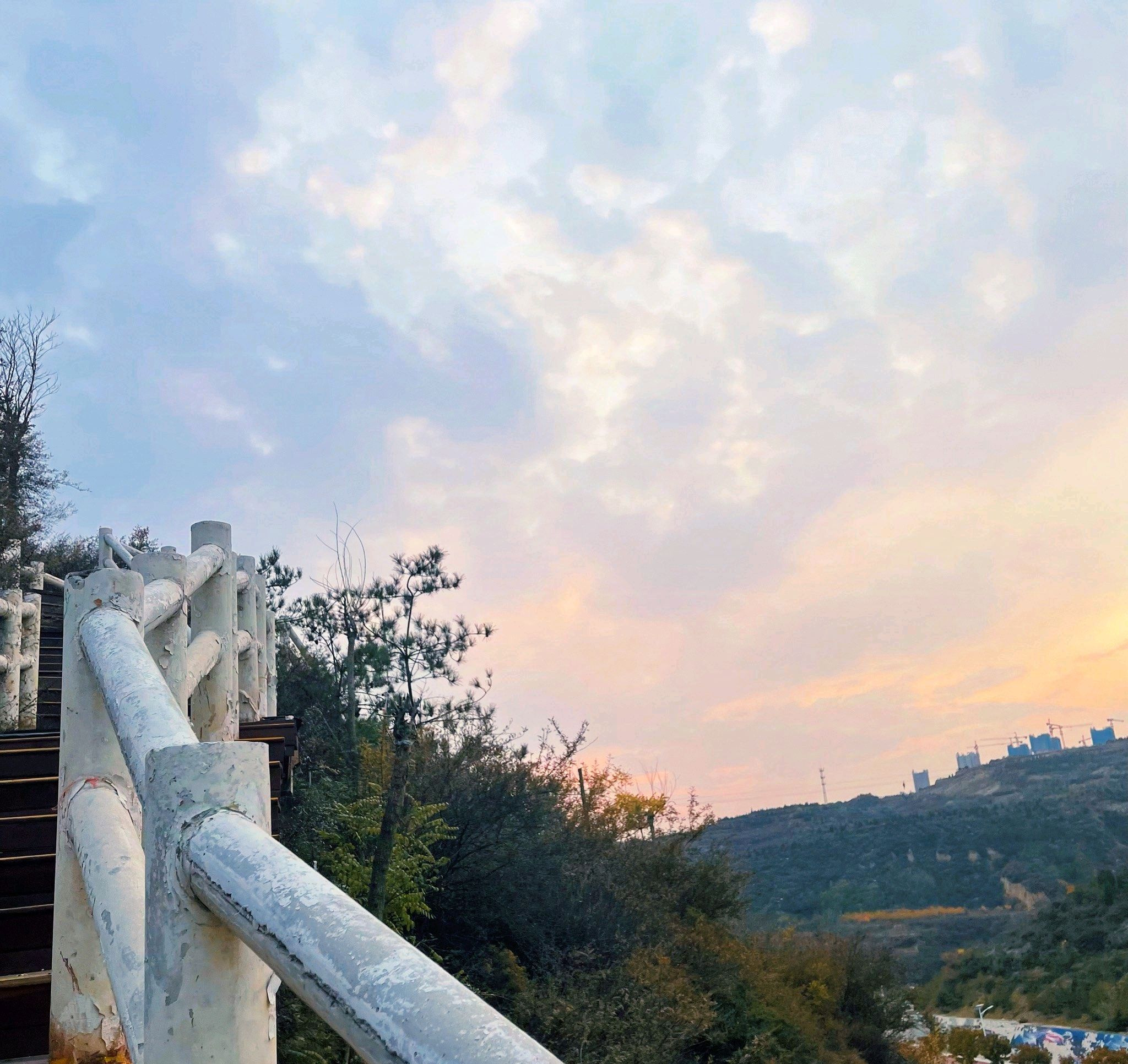 东山五龙生态森林公园旅行图片 3