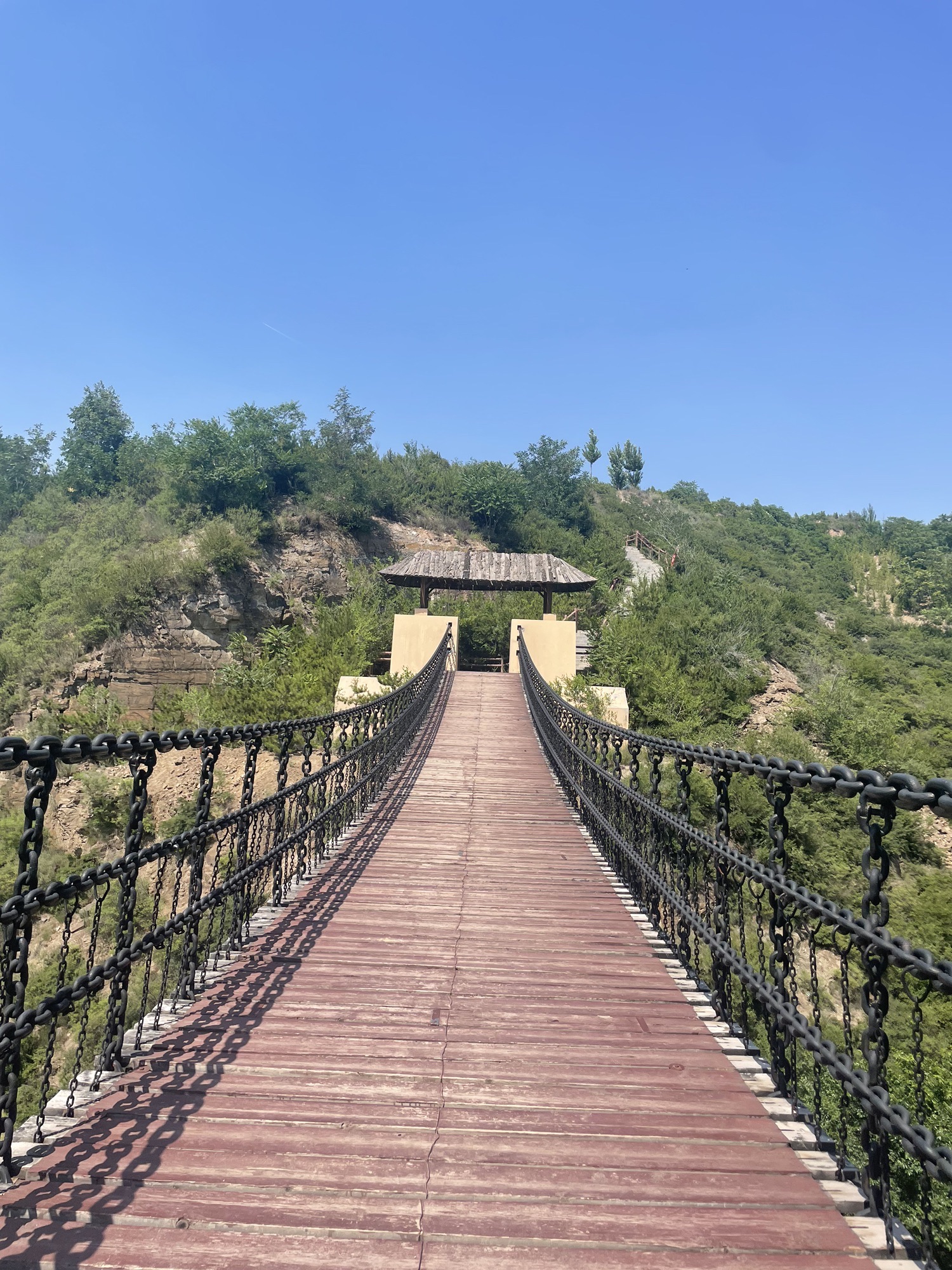 东山五龙生态森林公园旅行图片 1