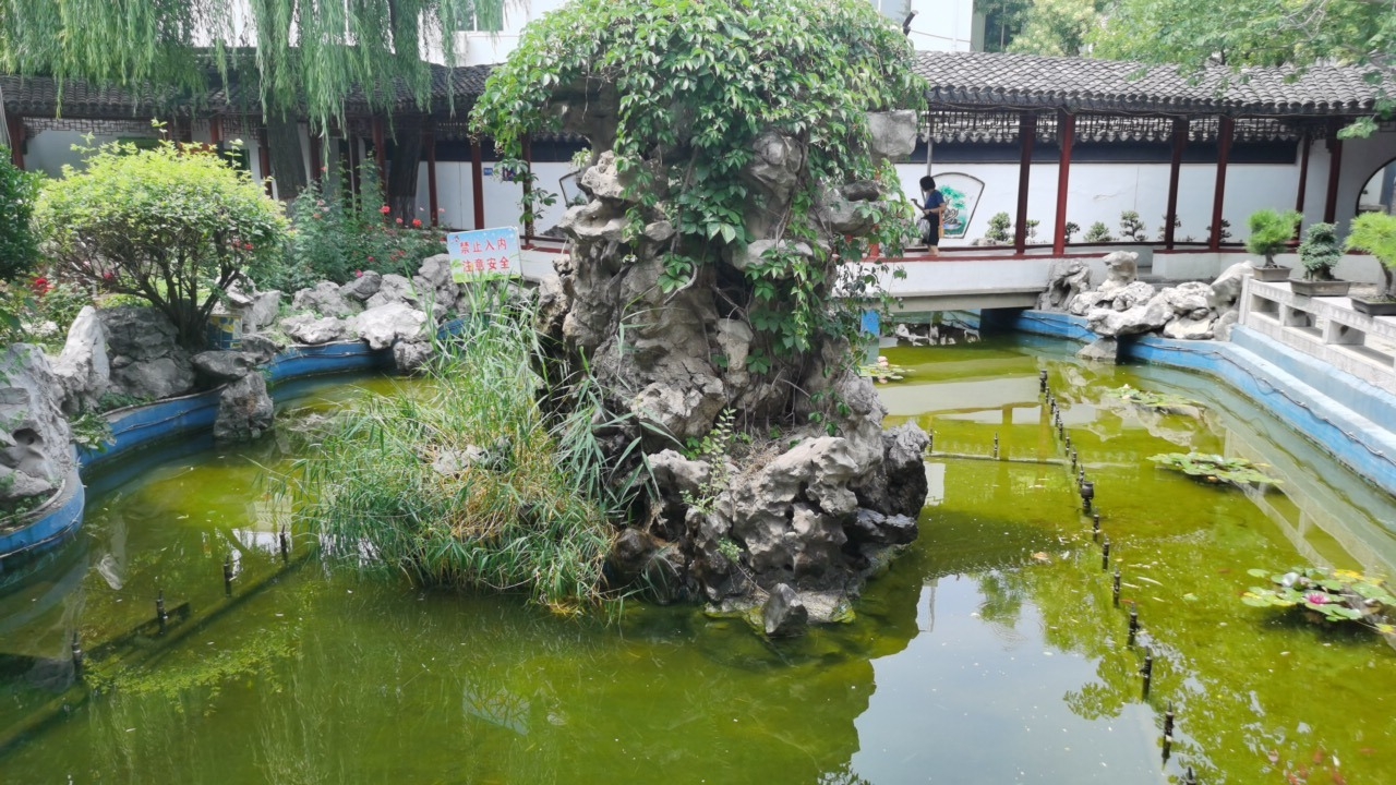 盆景园旅行图片 1