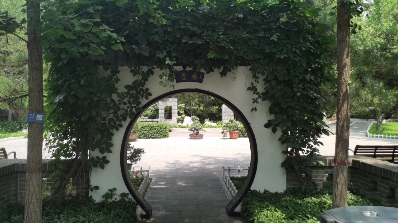 盆景园旅行图片 2