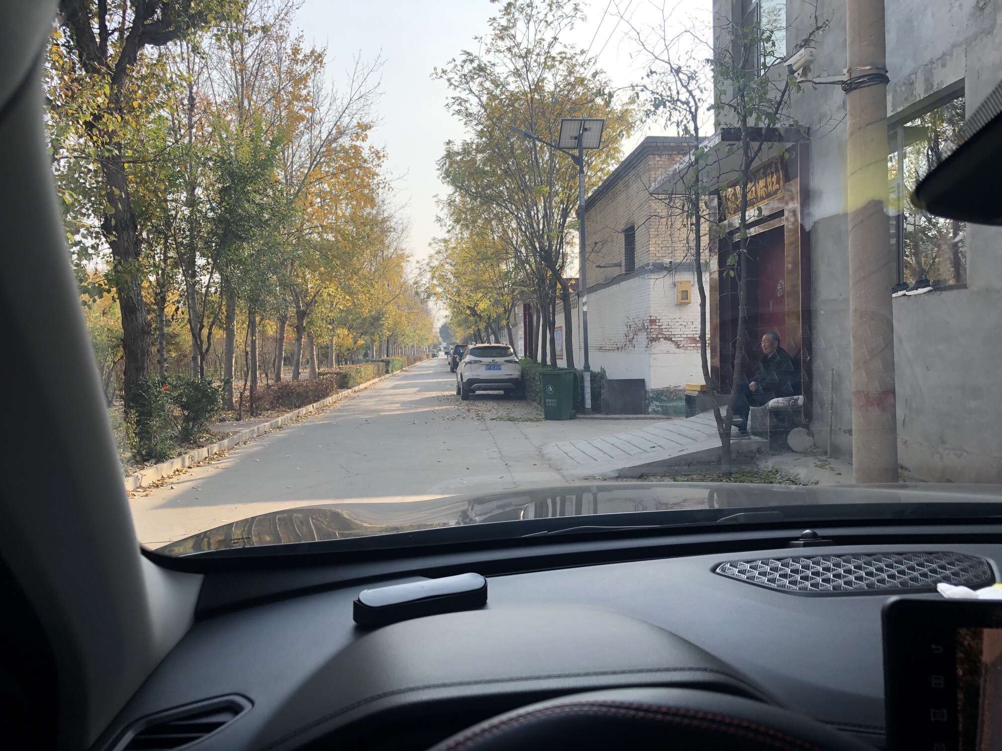 薛店公园旅行图片 1