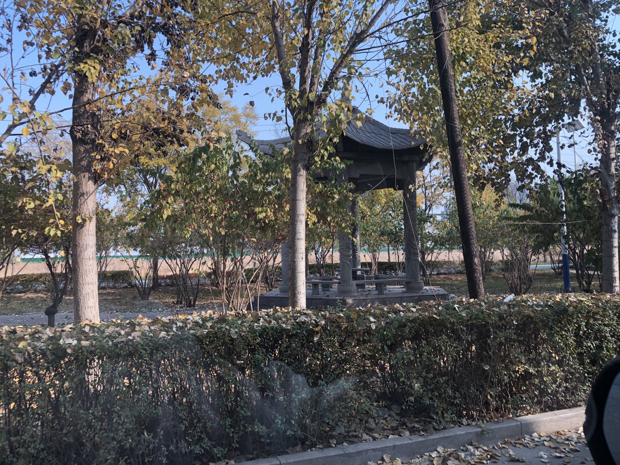 薛店公园旅行图片 2