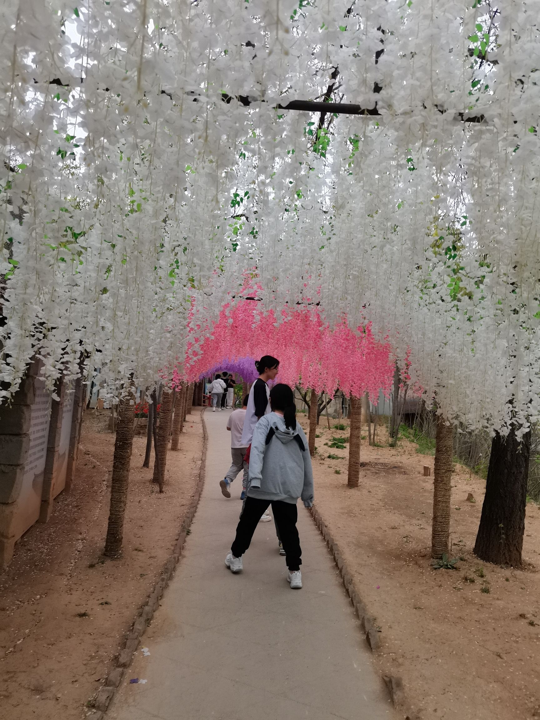 宇文山庄旅行图片 1