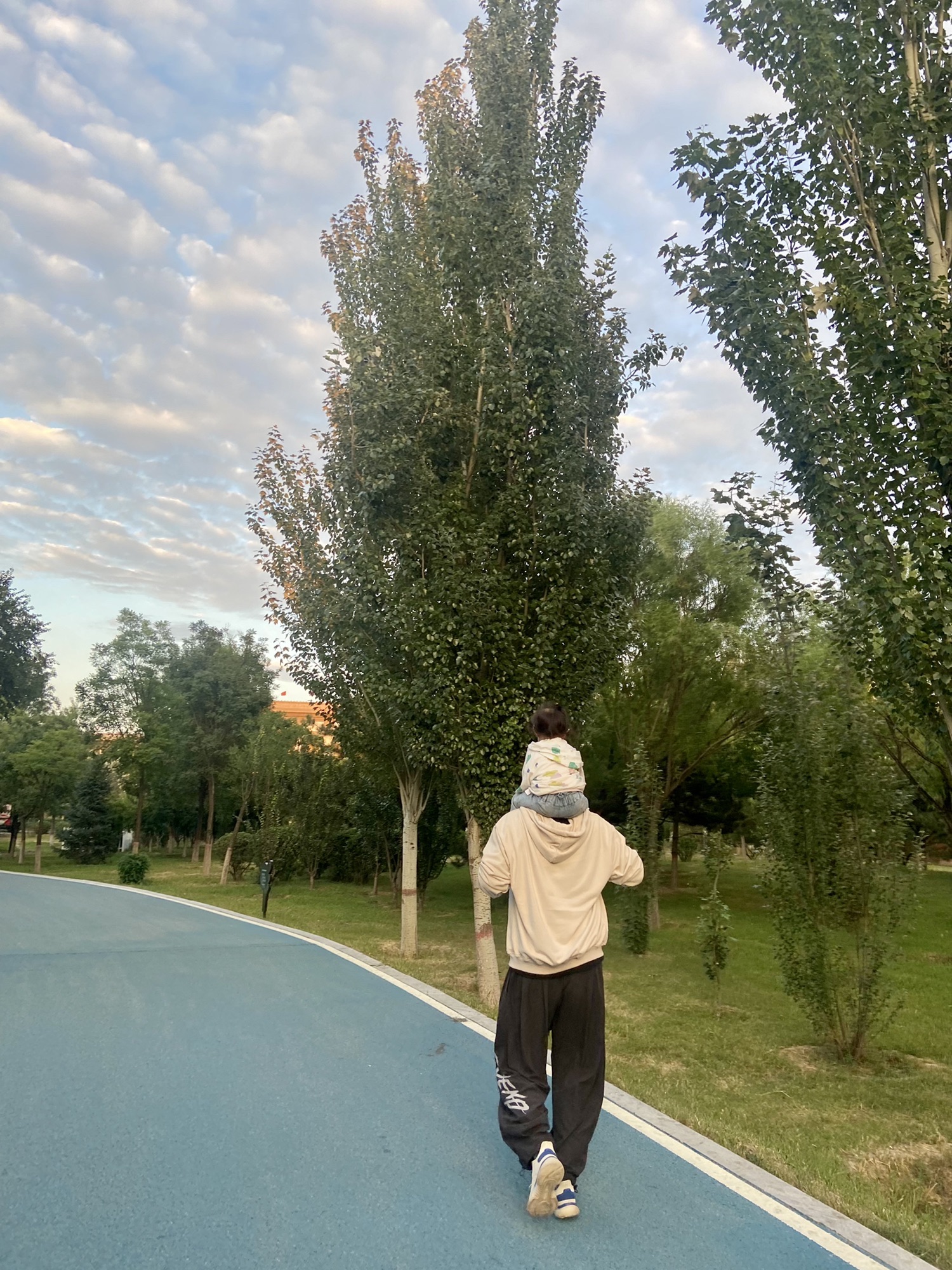 大同公园旅行图片 3