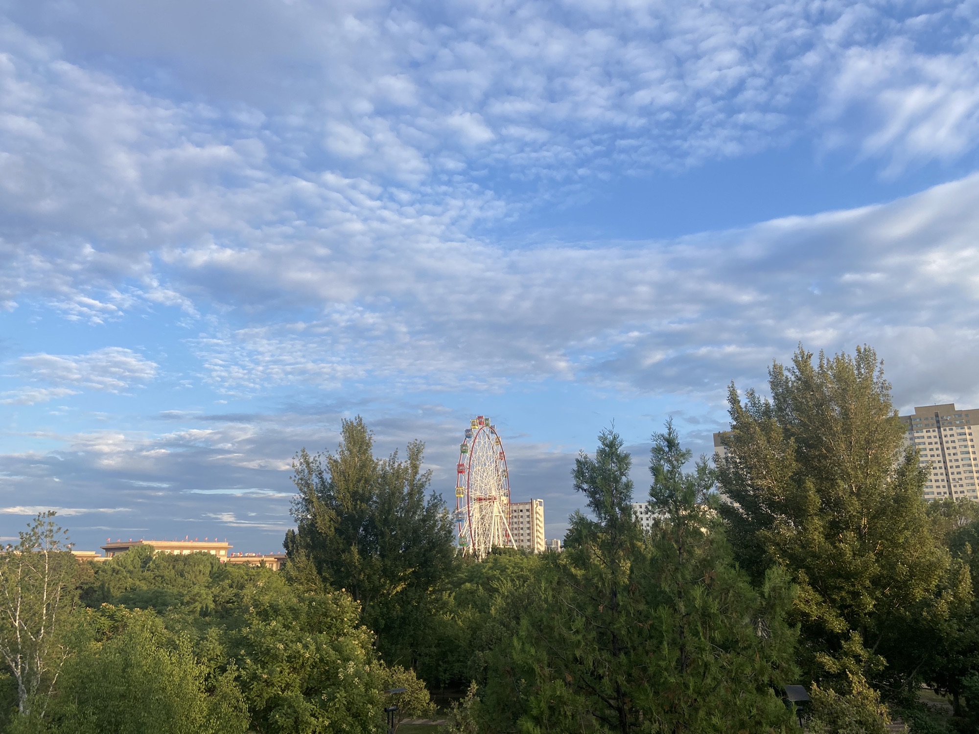 大同公园旅行图片 2