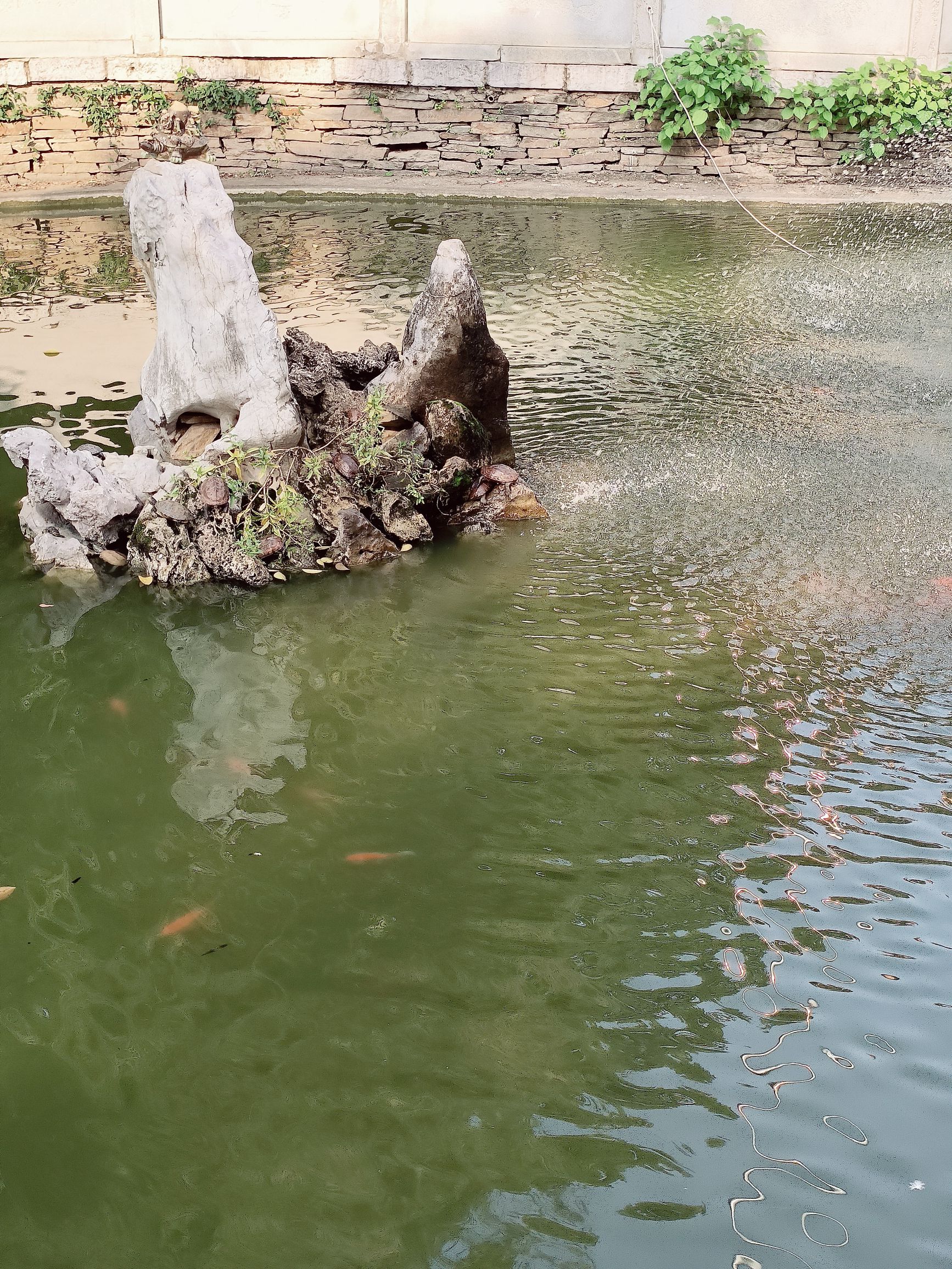 大同公园旅行图片 2