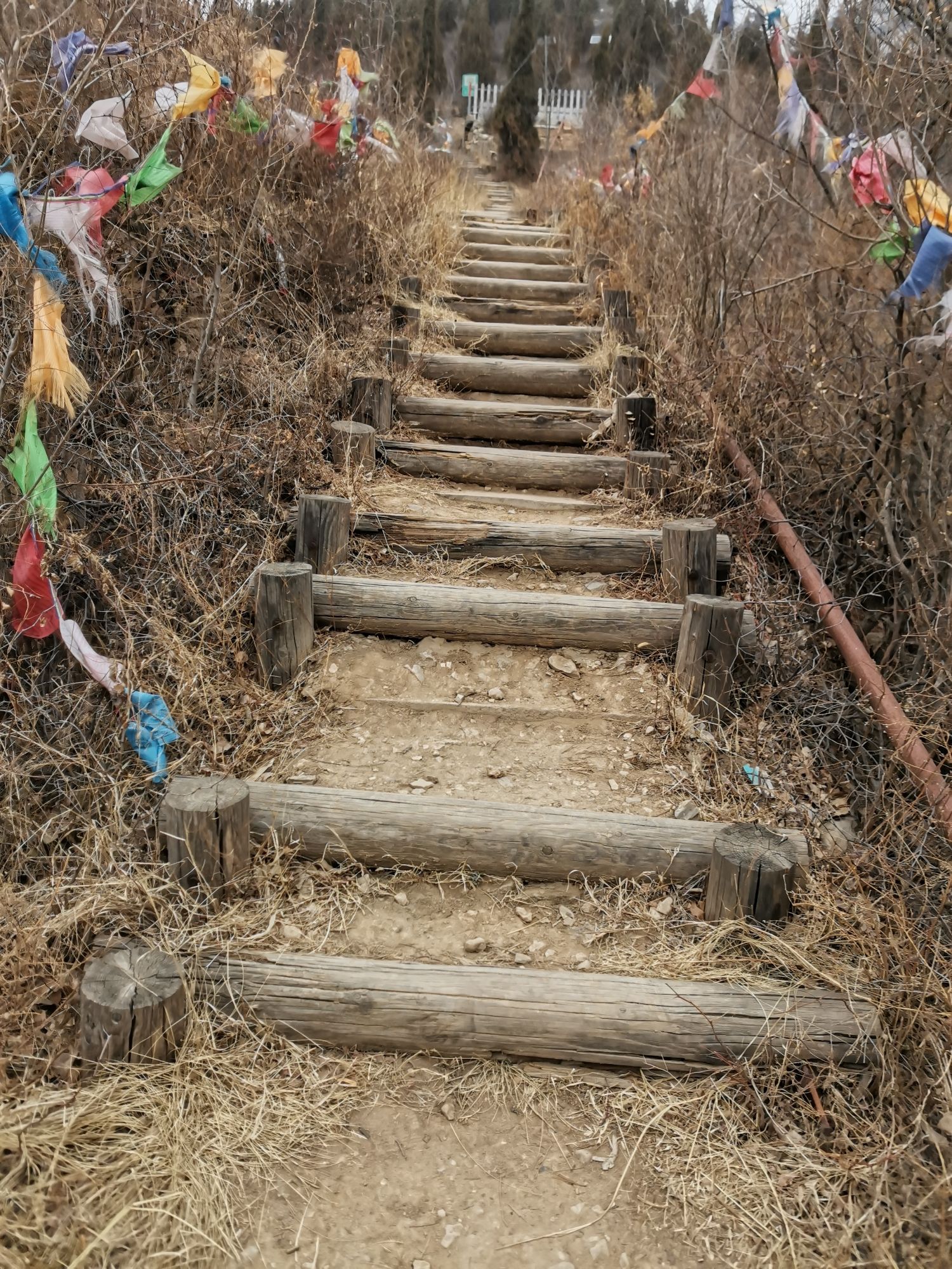 觉山寺塔旅行图片 3