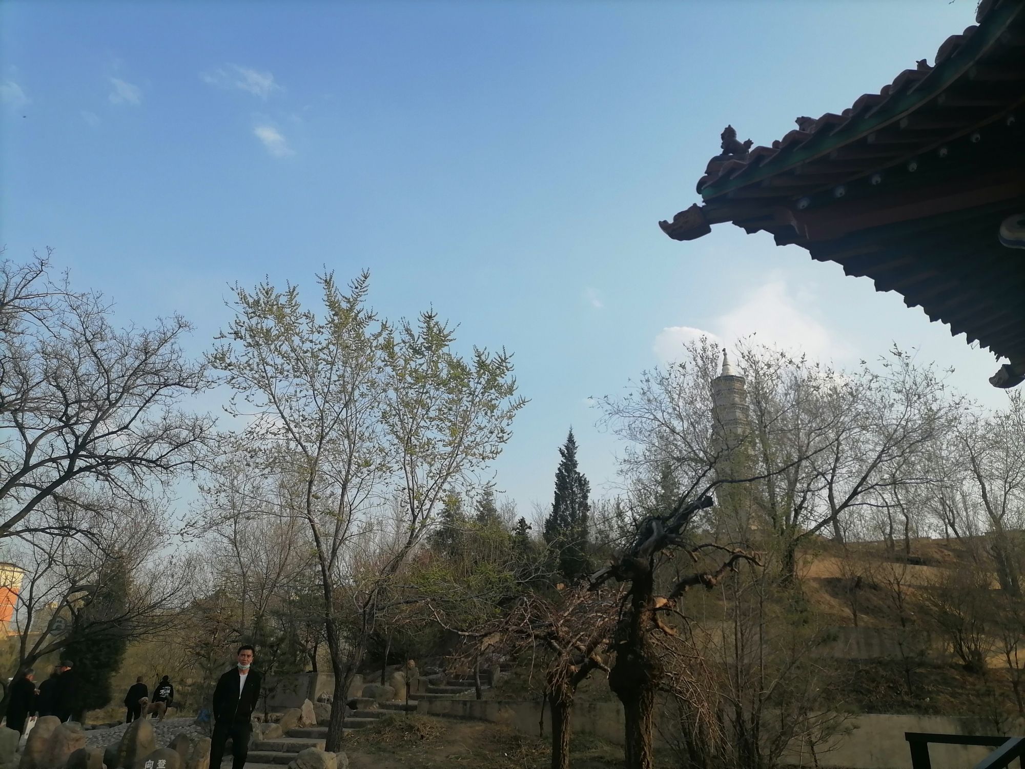 口泉公园旅行图片 3