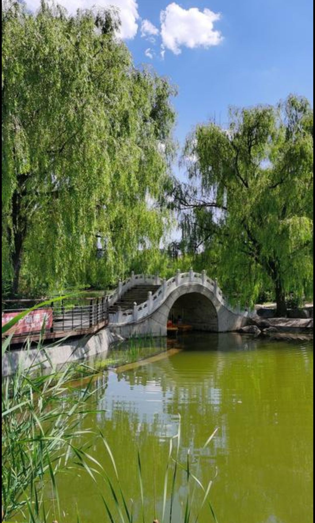 儿童公园旅行图片 3