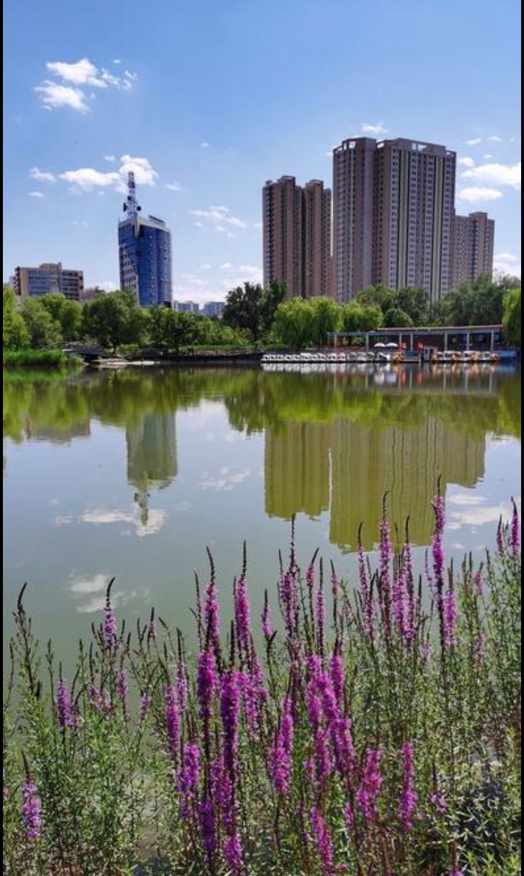 儿童公园旅行图片 1