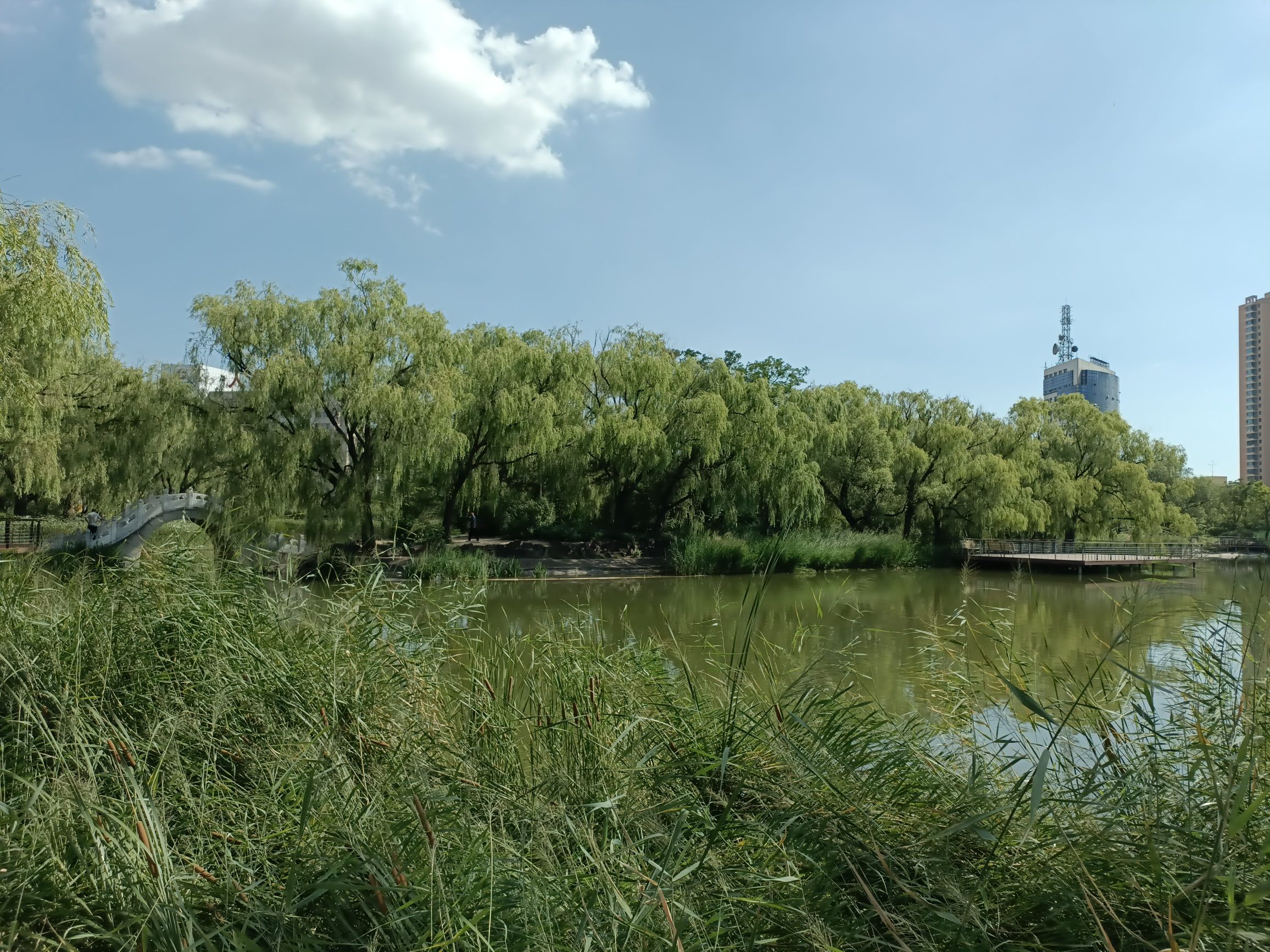 儿童公园旅行图片 1