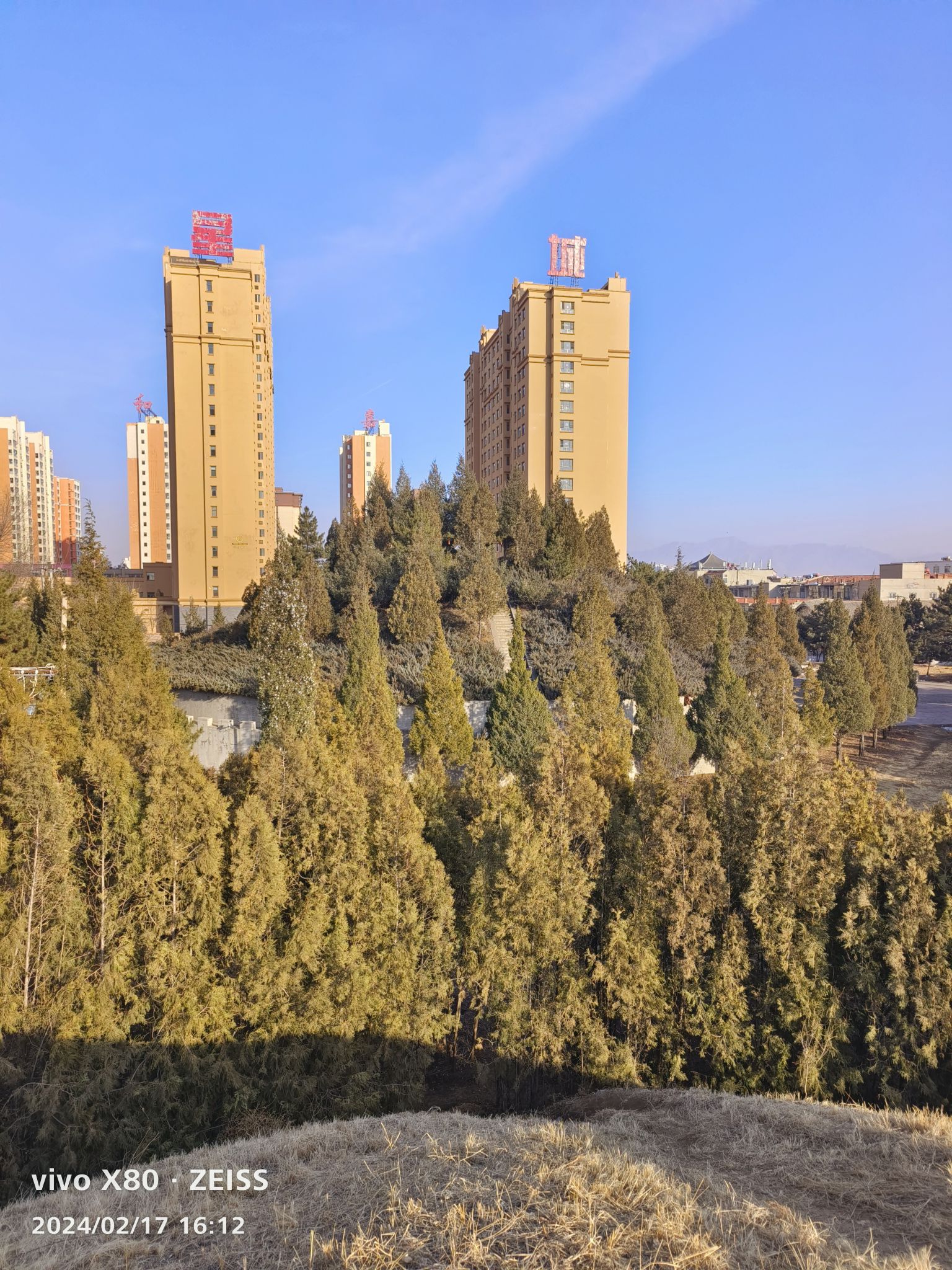 大同赵武灵王墓旅行图片 3