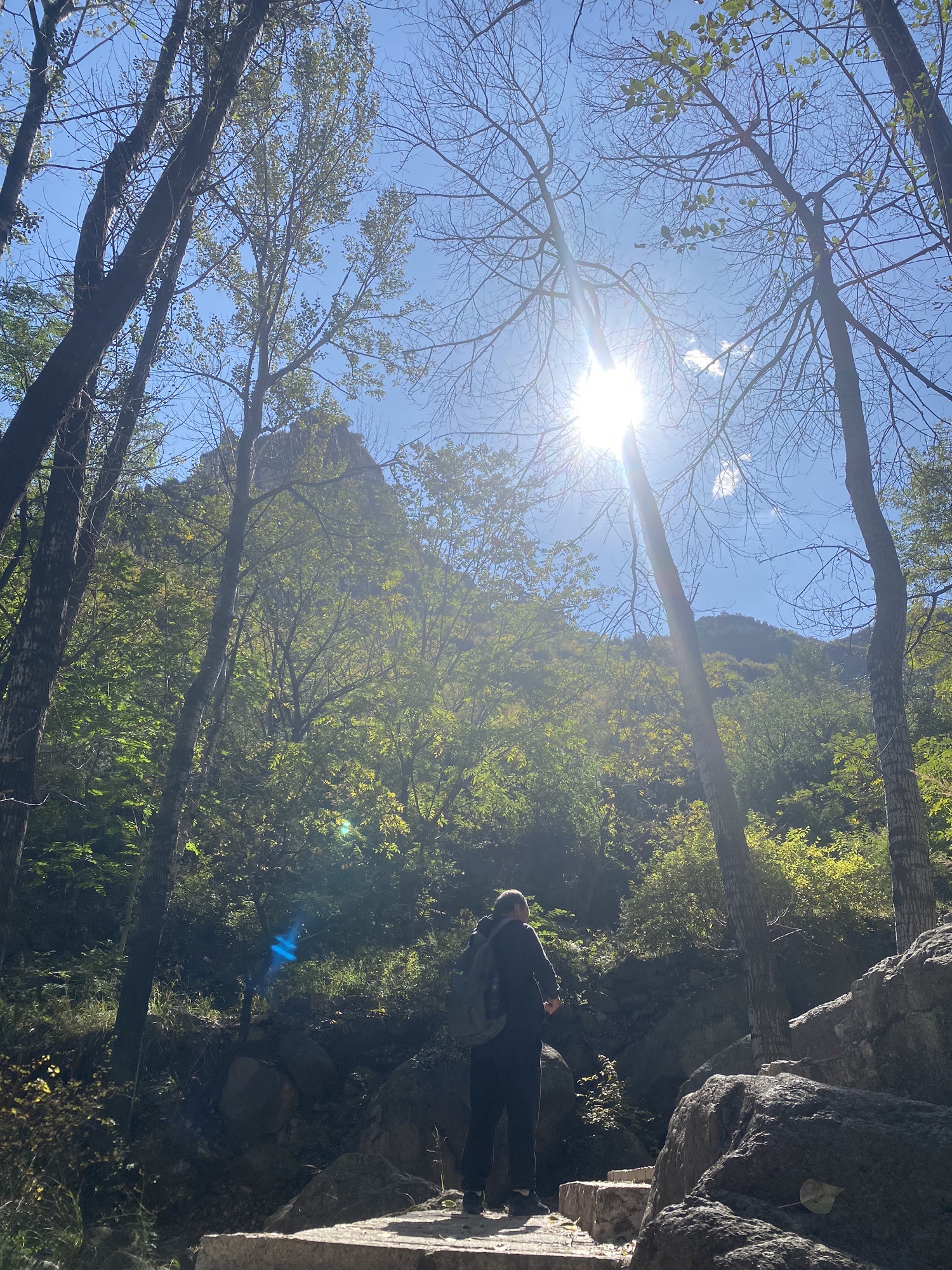 桃花山风景区(暂停开放)旅行图片 2