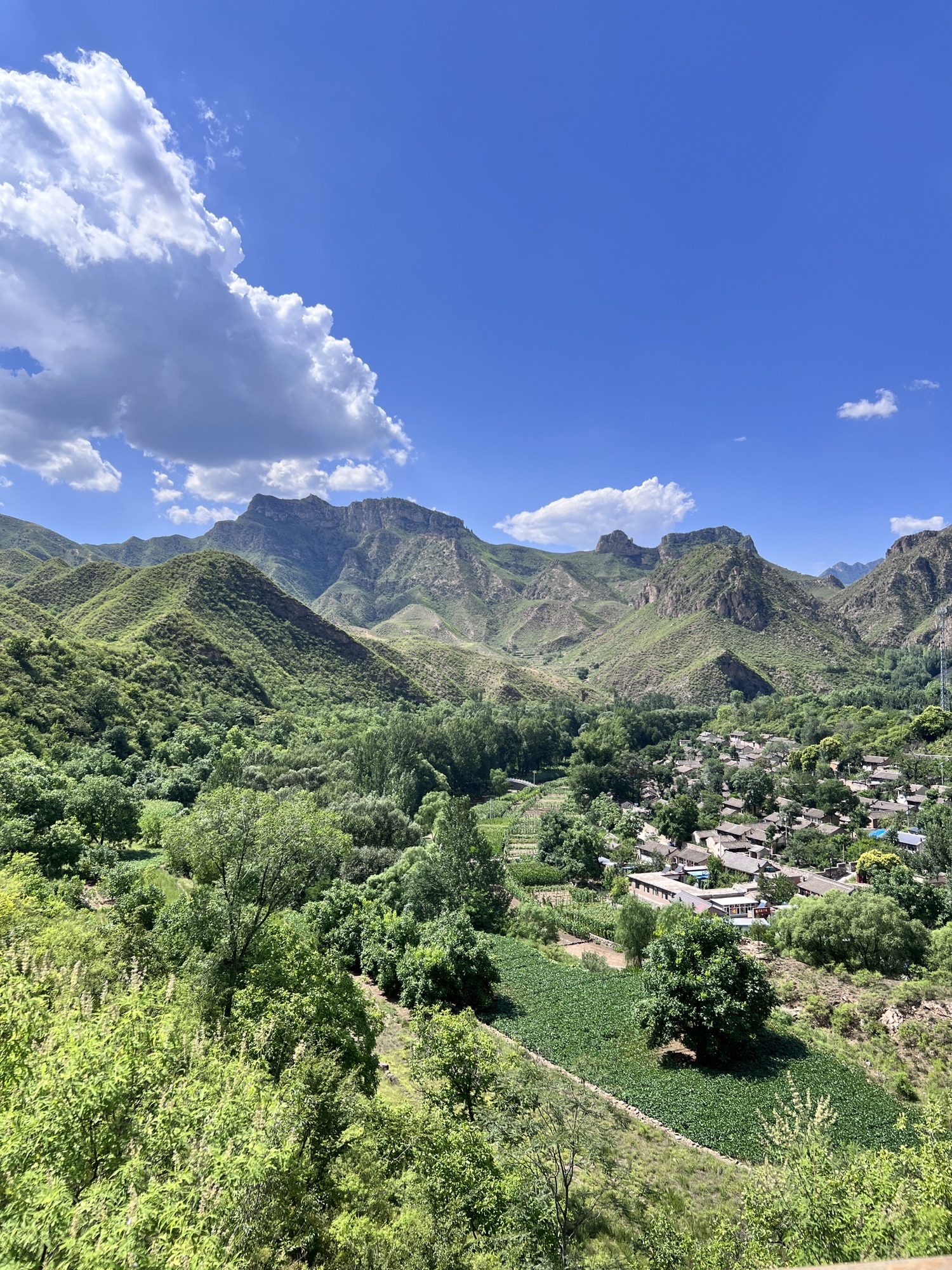 桃花山风景区(暂停开放)旅行图片 2
