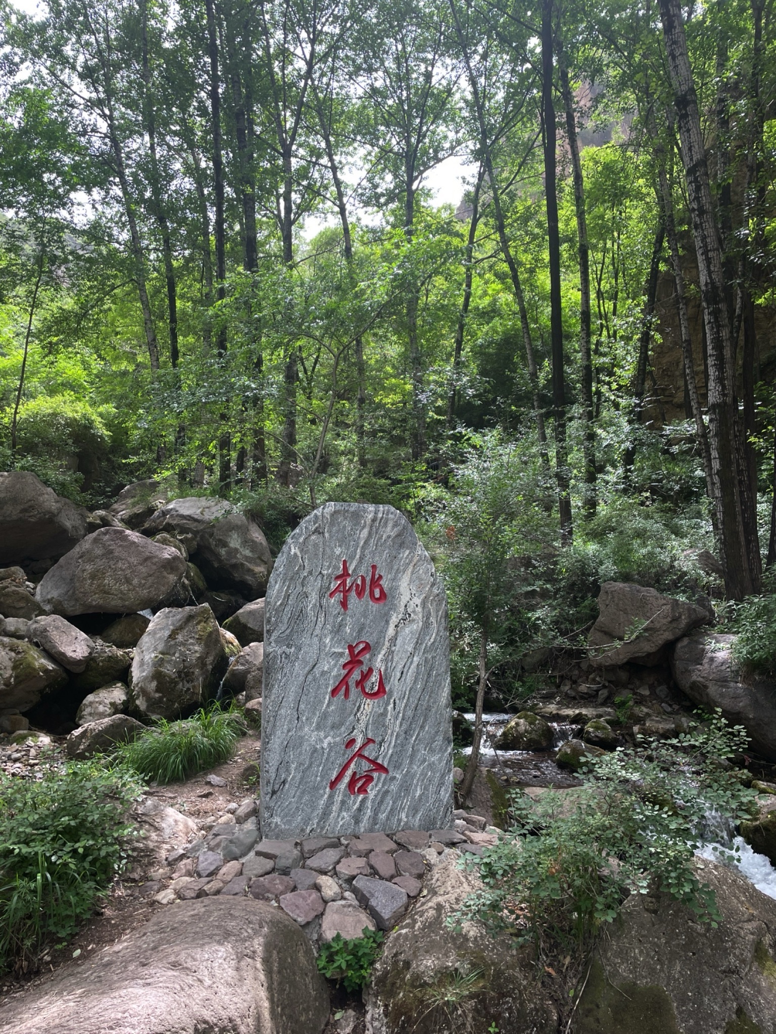 桃花山风景区