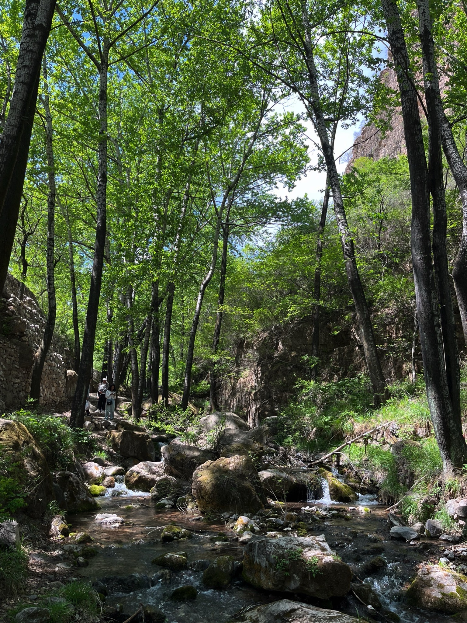 桃花山风景区(暂停开放)旅行图片 1