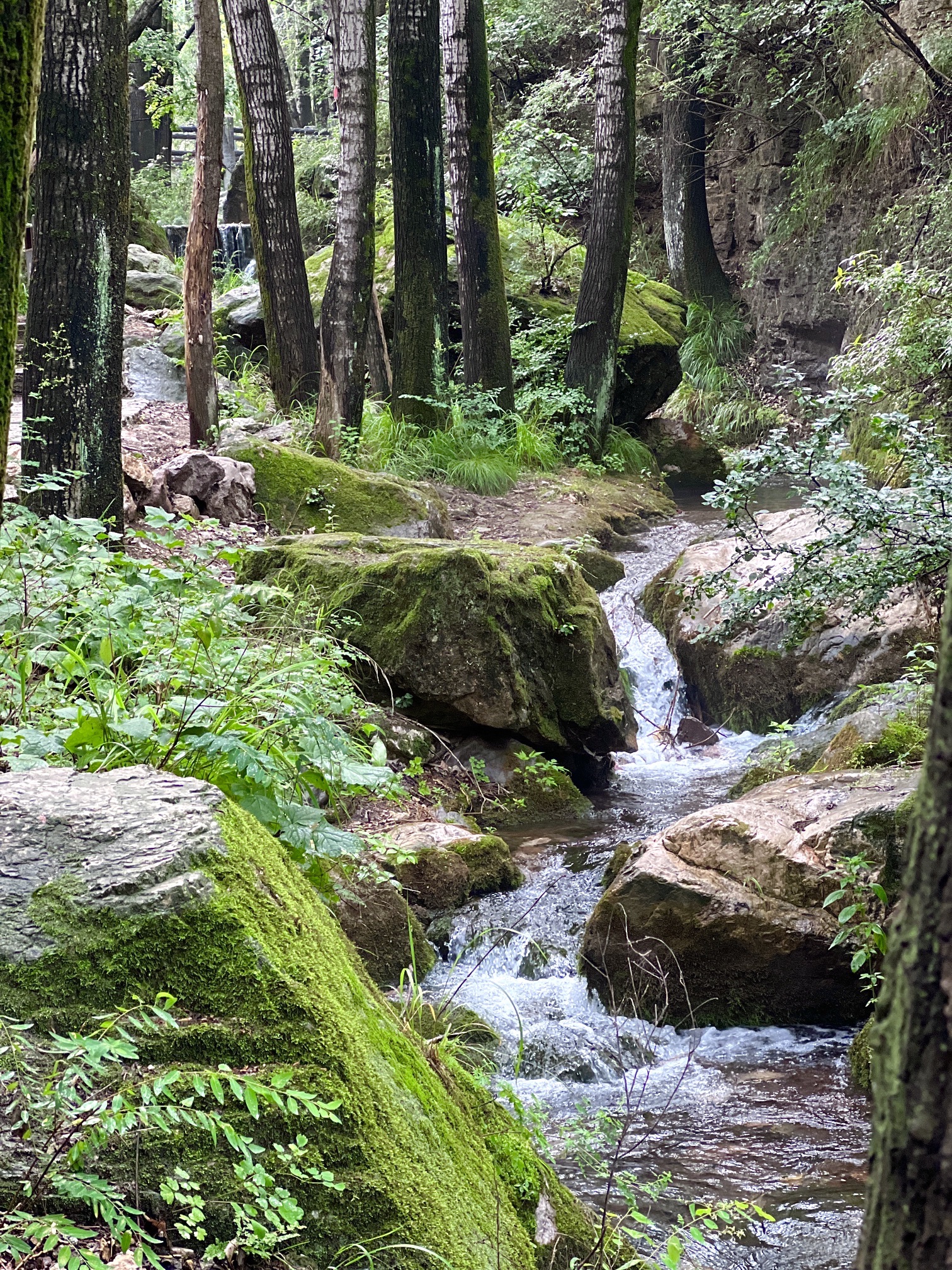 桃花山风景区(暂停开放)旅行图片 3