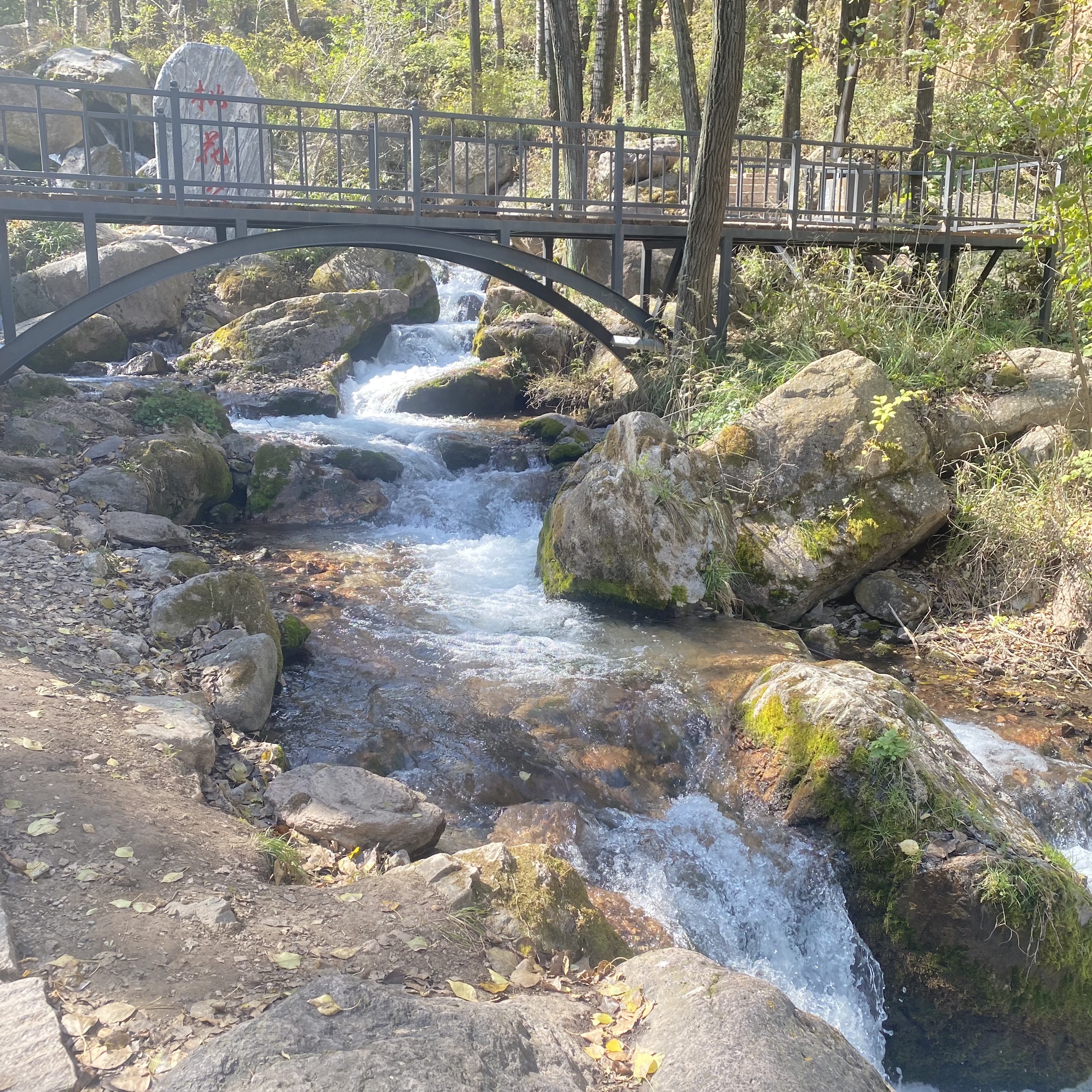 桃花山风景区(暂停开放)旅行图片 1