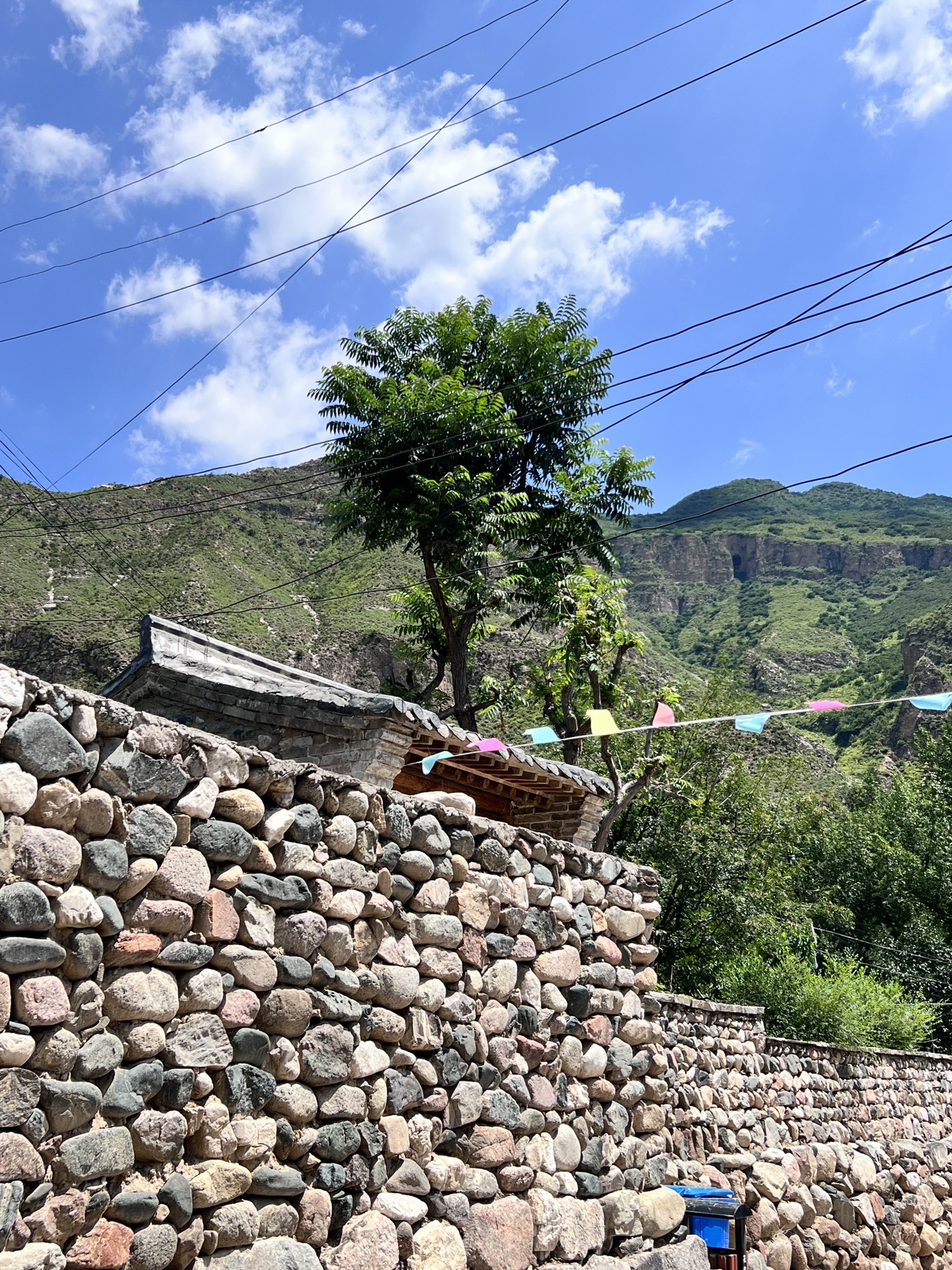 桃花山风景区(暂停开放)旅行图片 1
