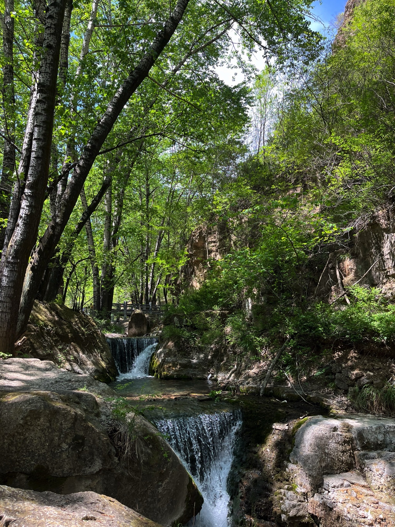 桃花山风景区(暂停开放)旅行图片 3