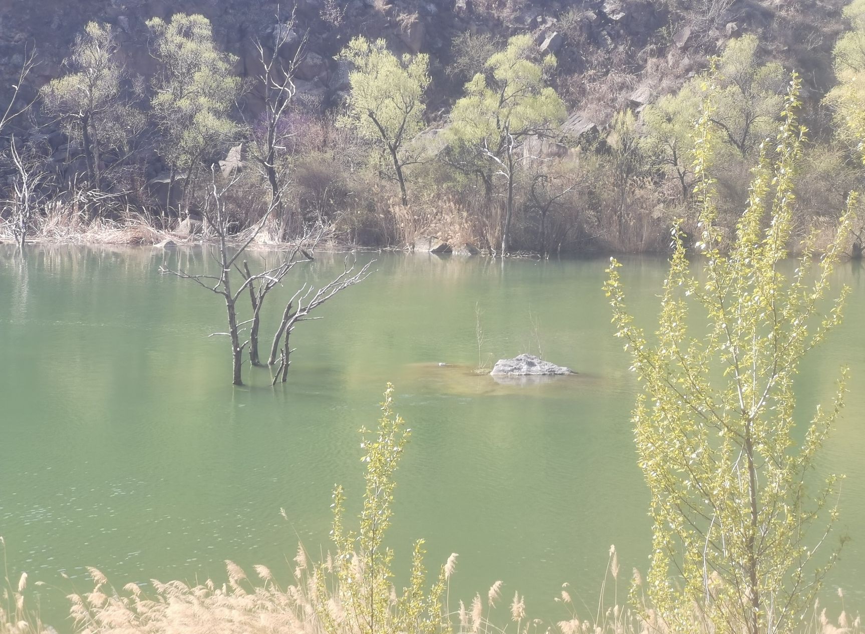 桑干湖生态旅游区旅行图片 3