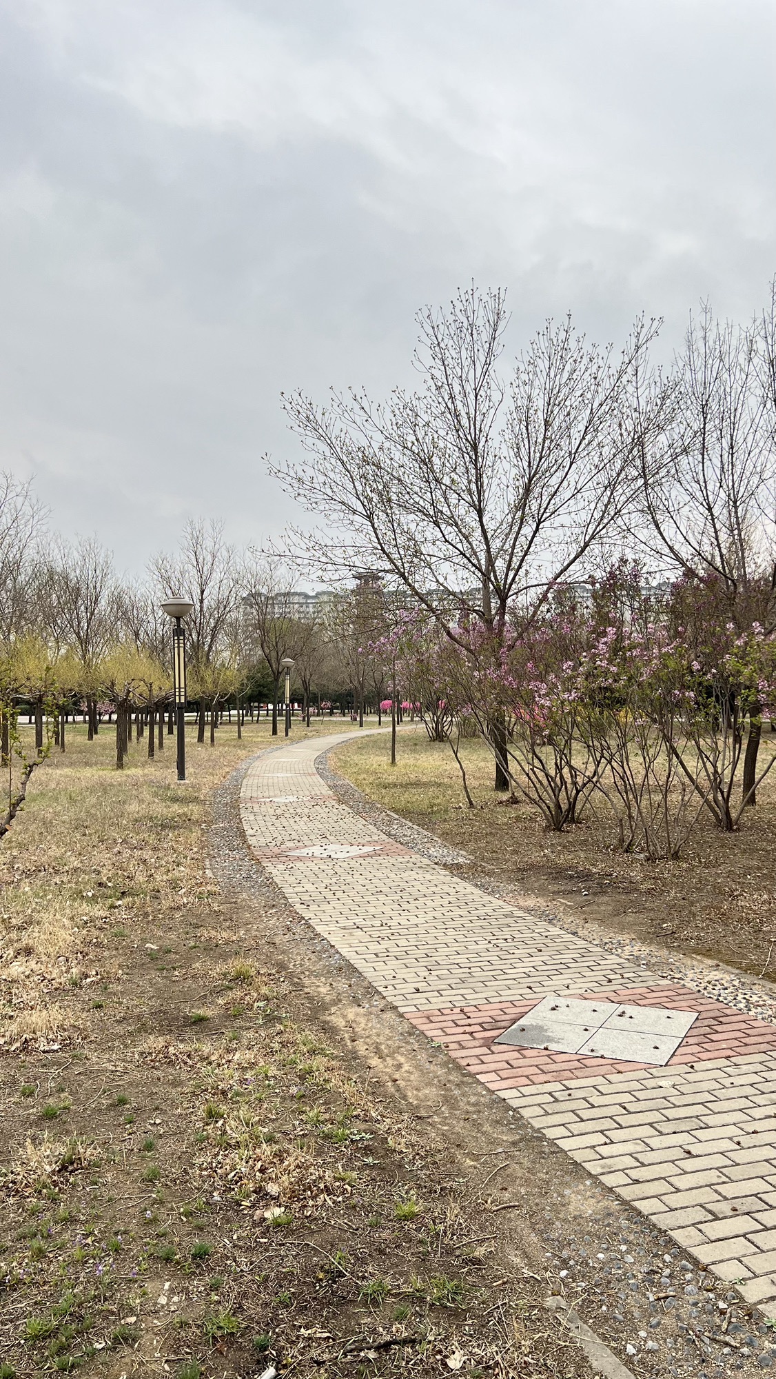 武灵王主题公园旅行图片 2