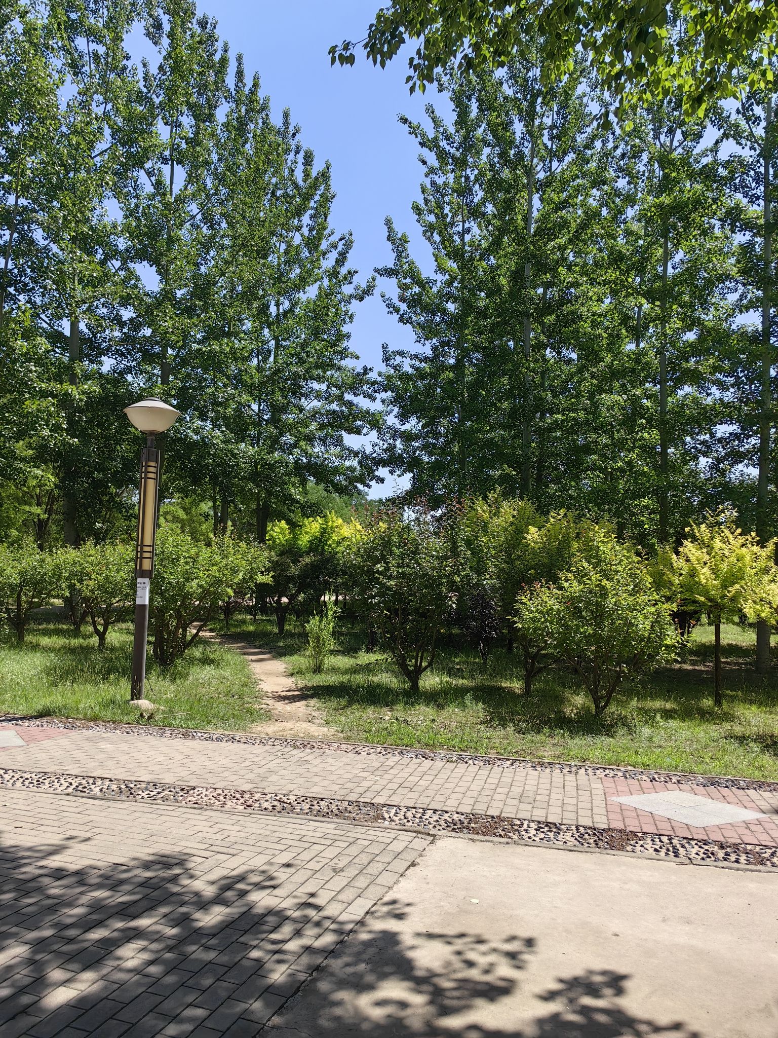 武灵王主题公园旅行图片 3