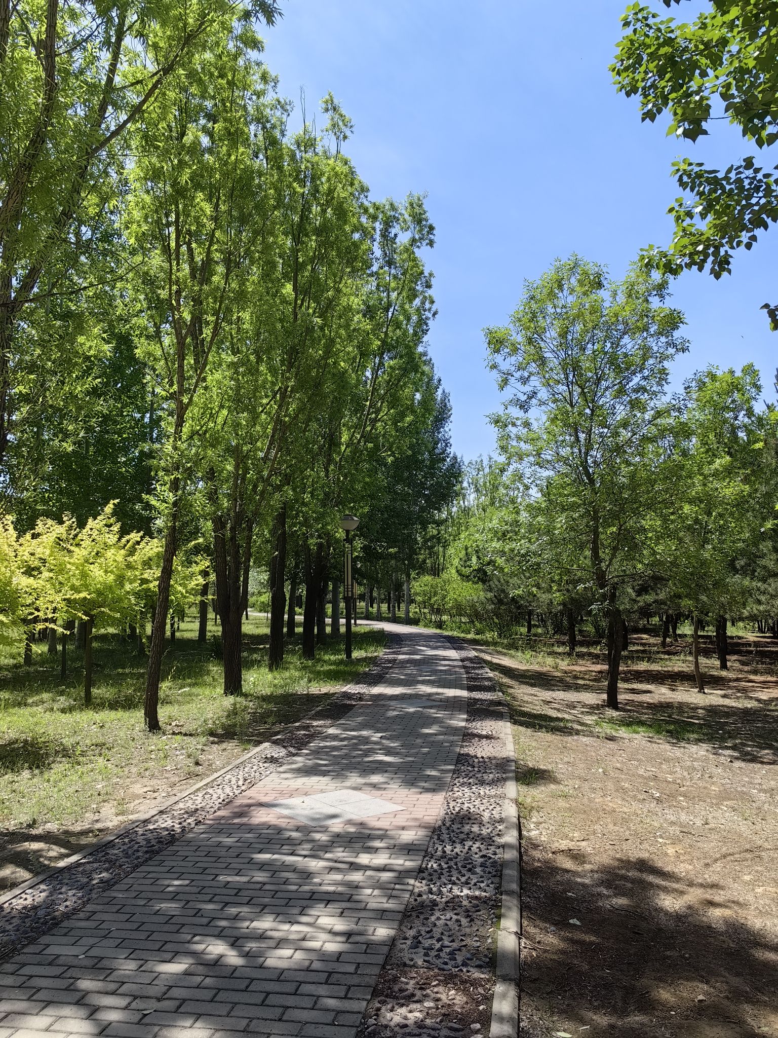 武灵王主题公园旅行图片 2