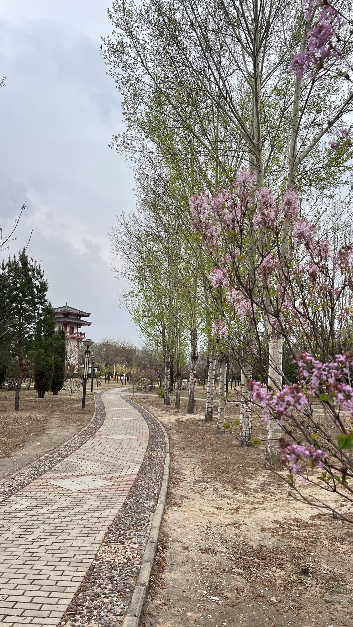 武灵王主题公园旅行图片 3