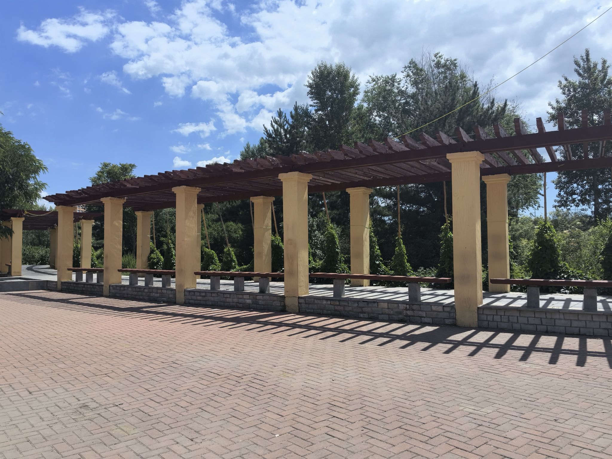 东山森林公园旅行图片 3