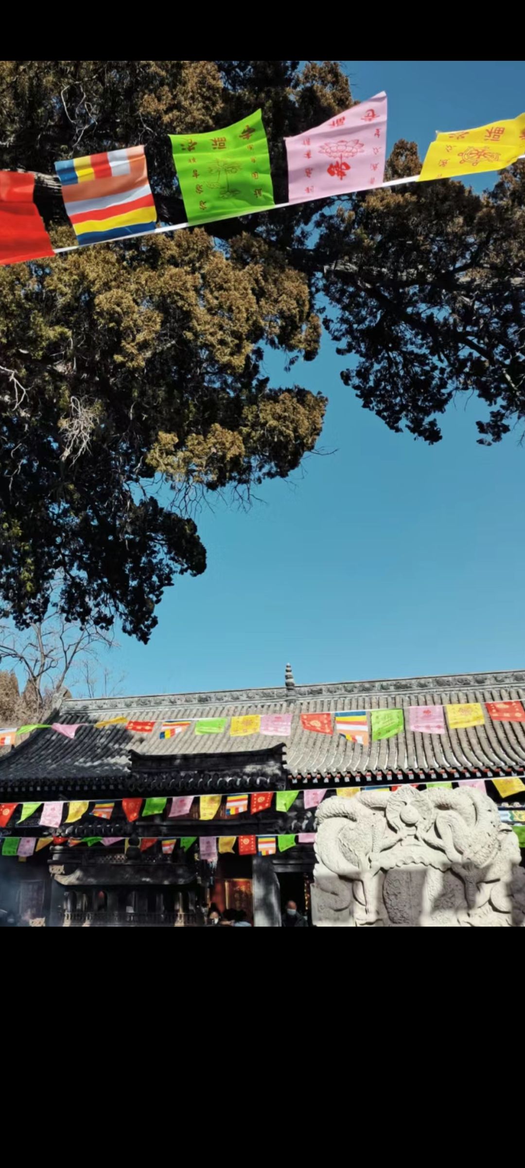 平定冠山森林公园旅行图片 2