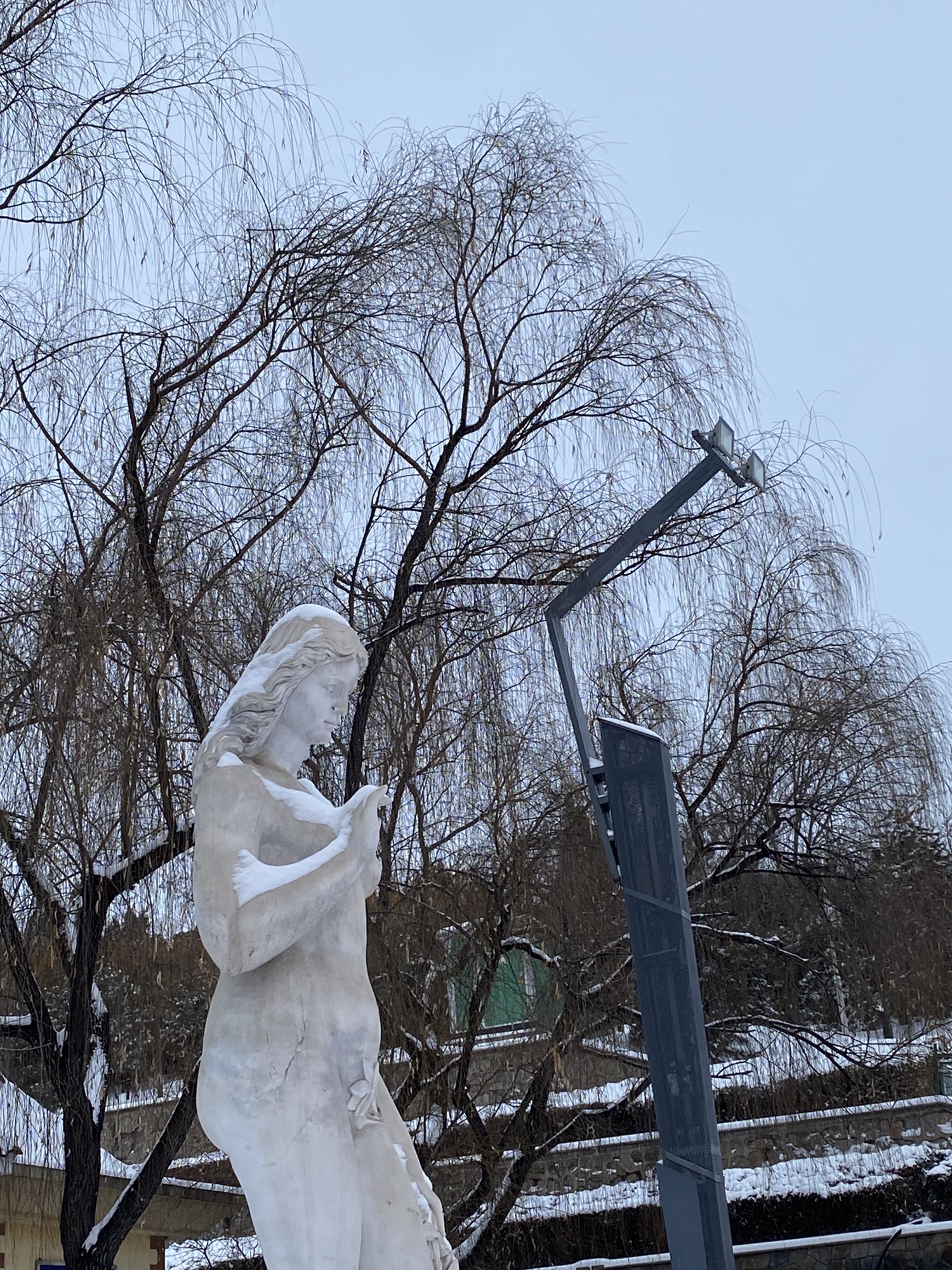 北山公园旅行图片 2