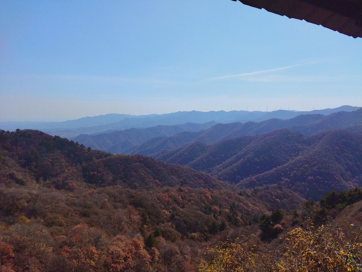翠枫山自然风景区旅行图片 1