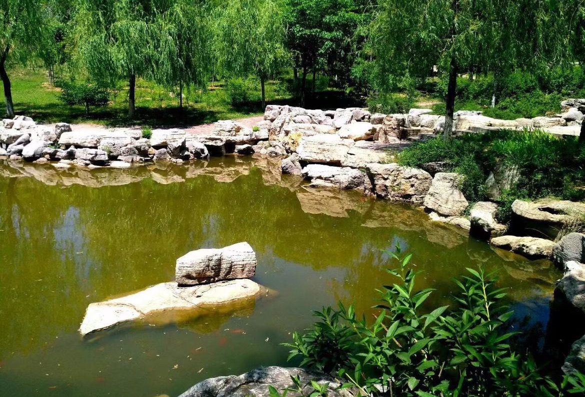 生态植物园旅行图片 1