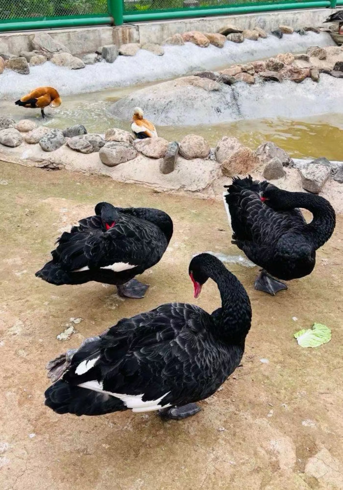 生态植物园旅行图片 3