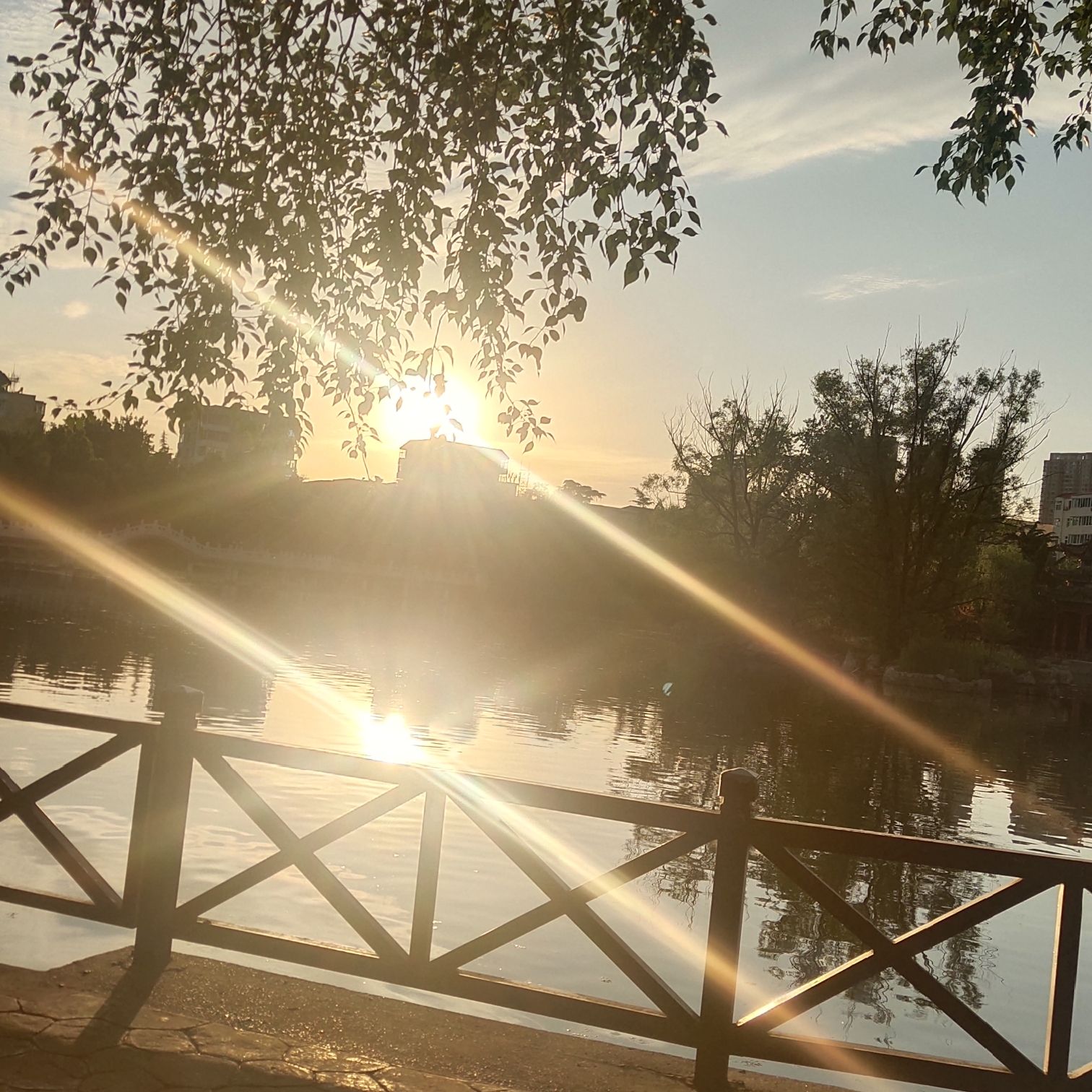 城市中心公园旅行图片 1