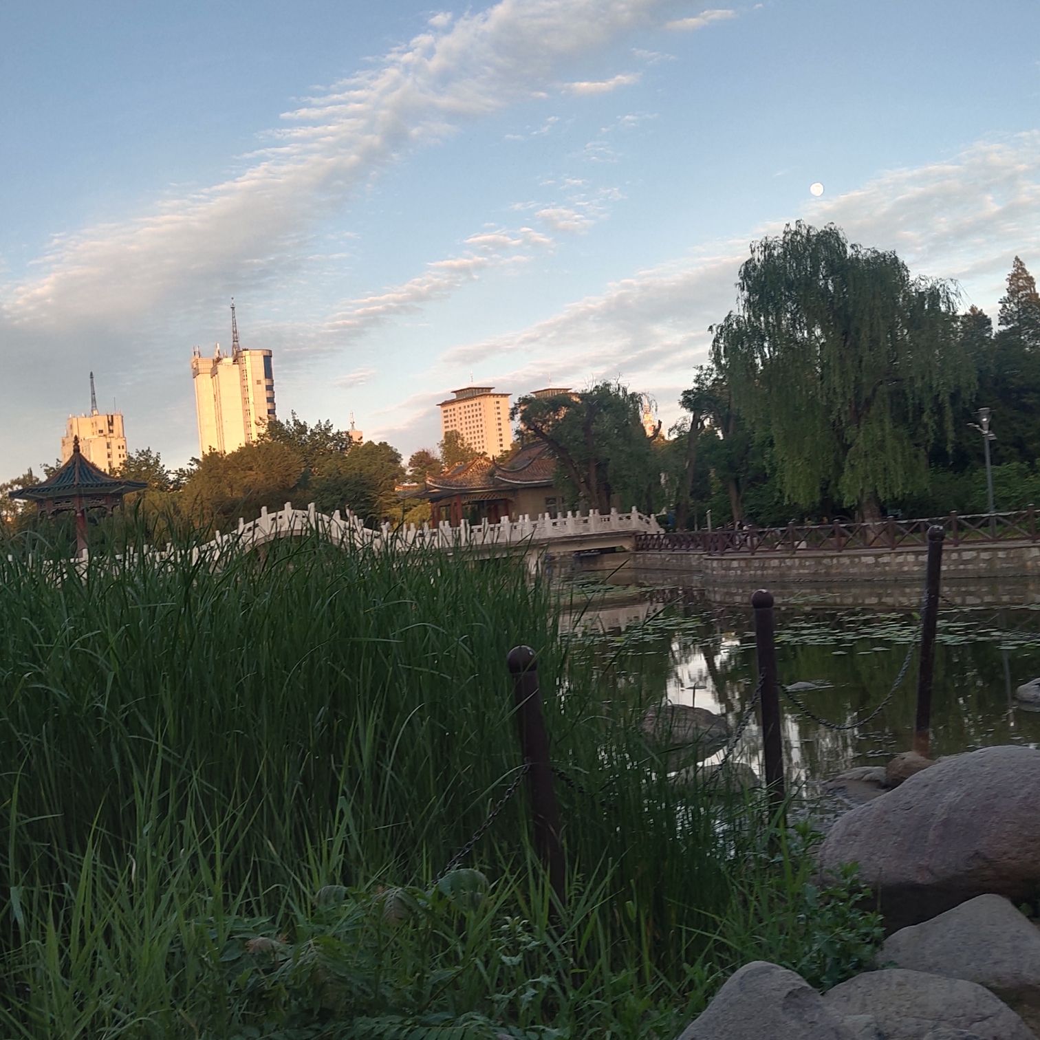 城市中心公园旅行图片 2