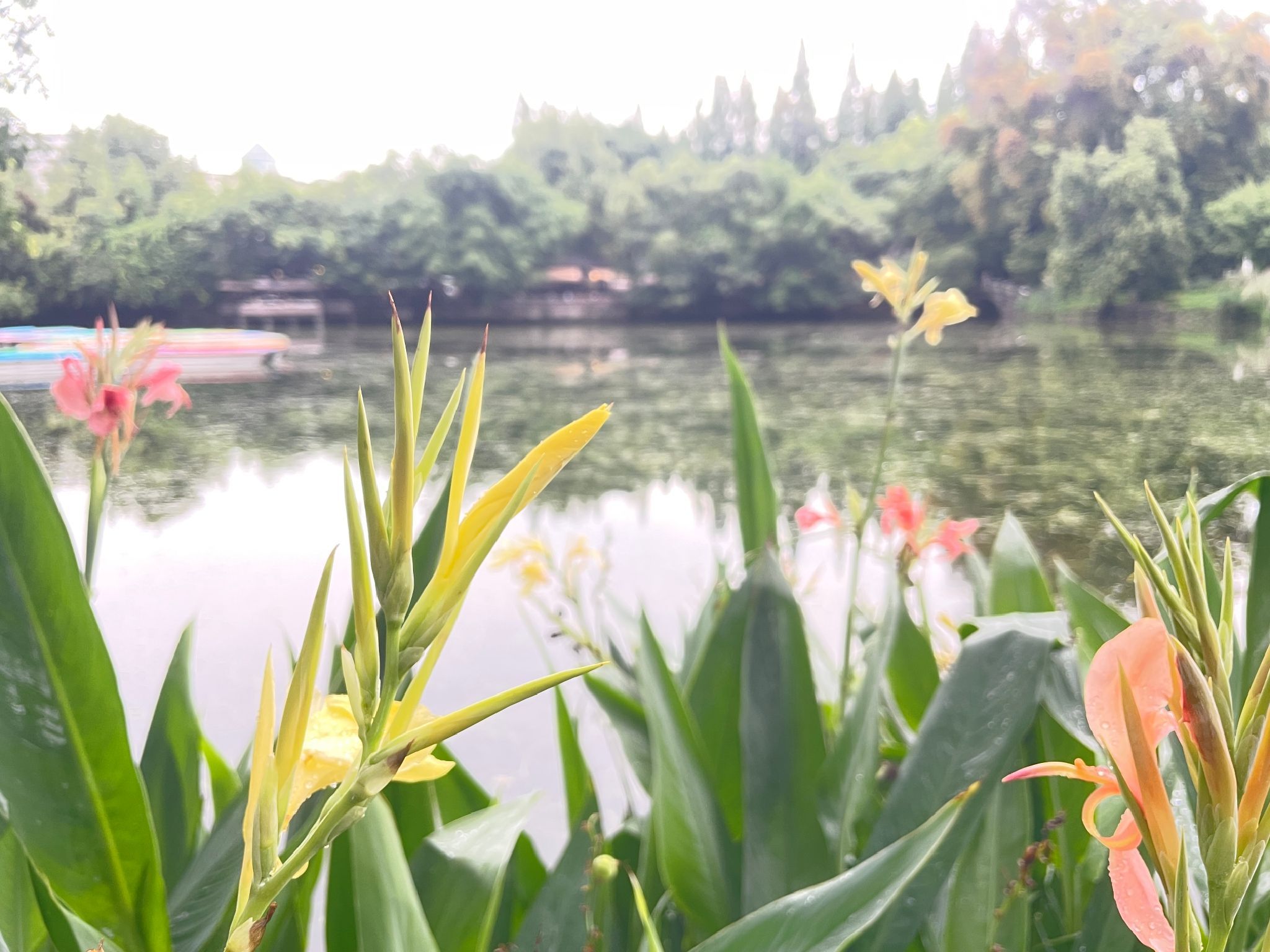 城市中心公园旅行图片 1