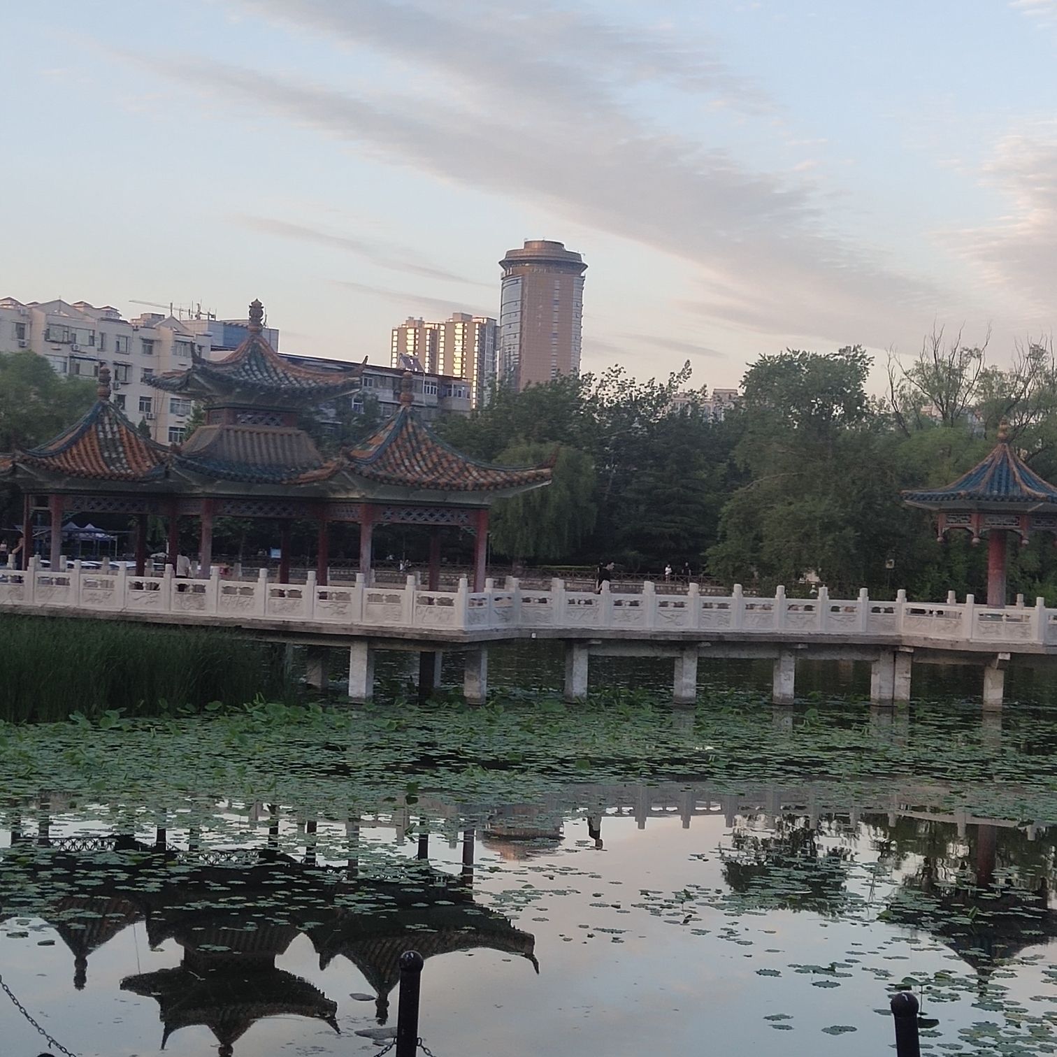城市中心公园旅行图片 3