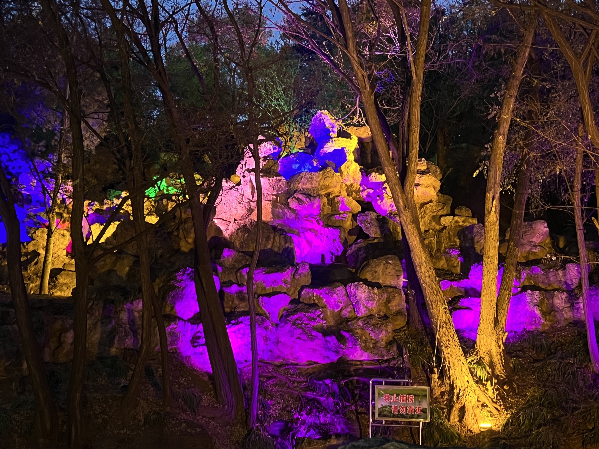 南山公园旅行图片 3